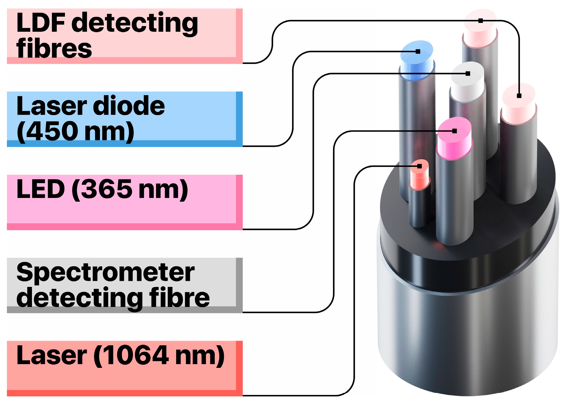 Diagnostics 10 00873 g001