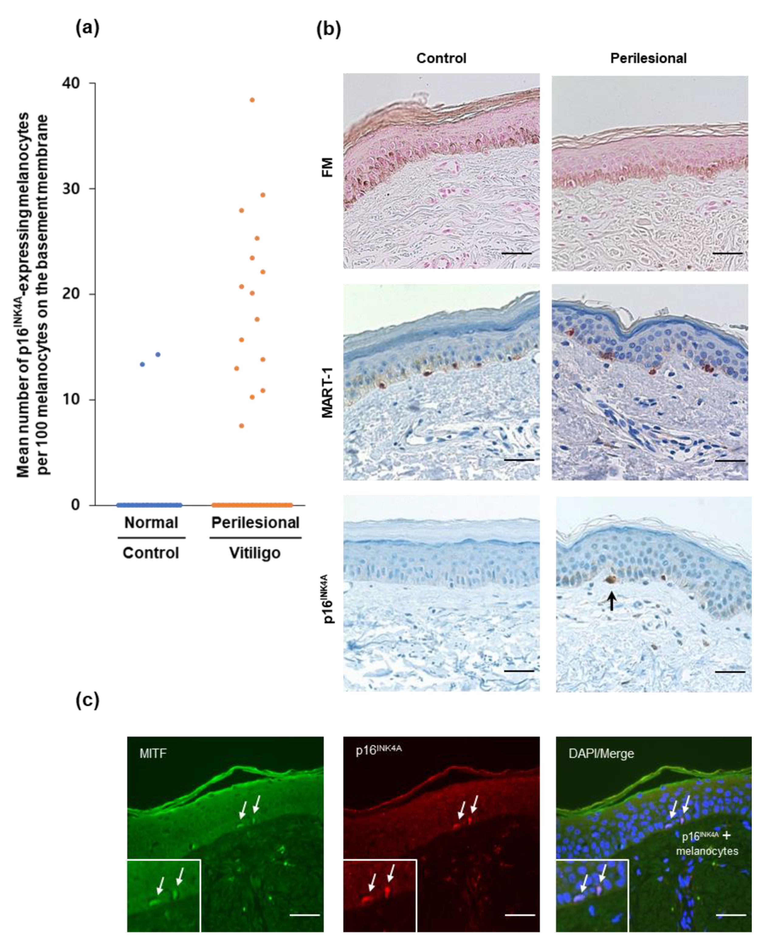 Diagnostics 10 00878 g001 Diagnostics 10 00878 g001