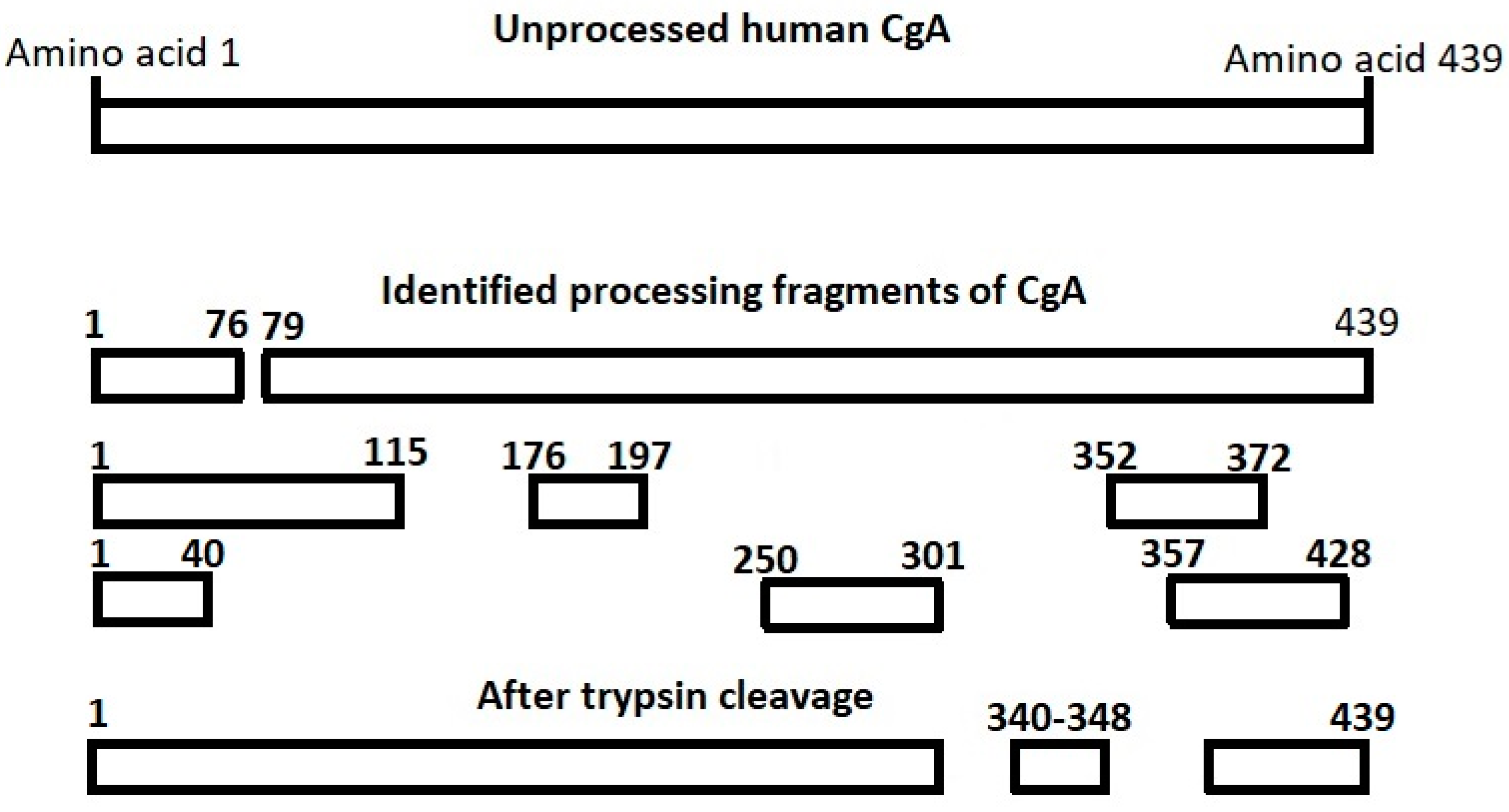 Diagnostics 10 00881 g001 Diagnostics 10 00881 g001