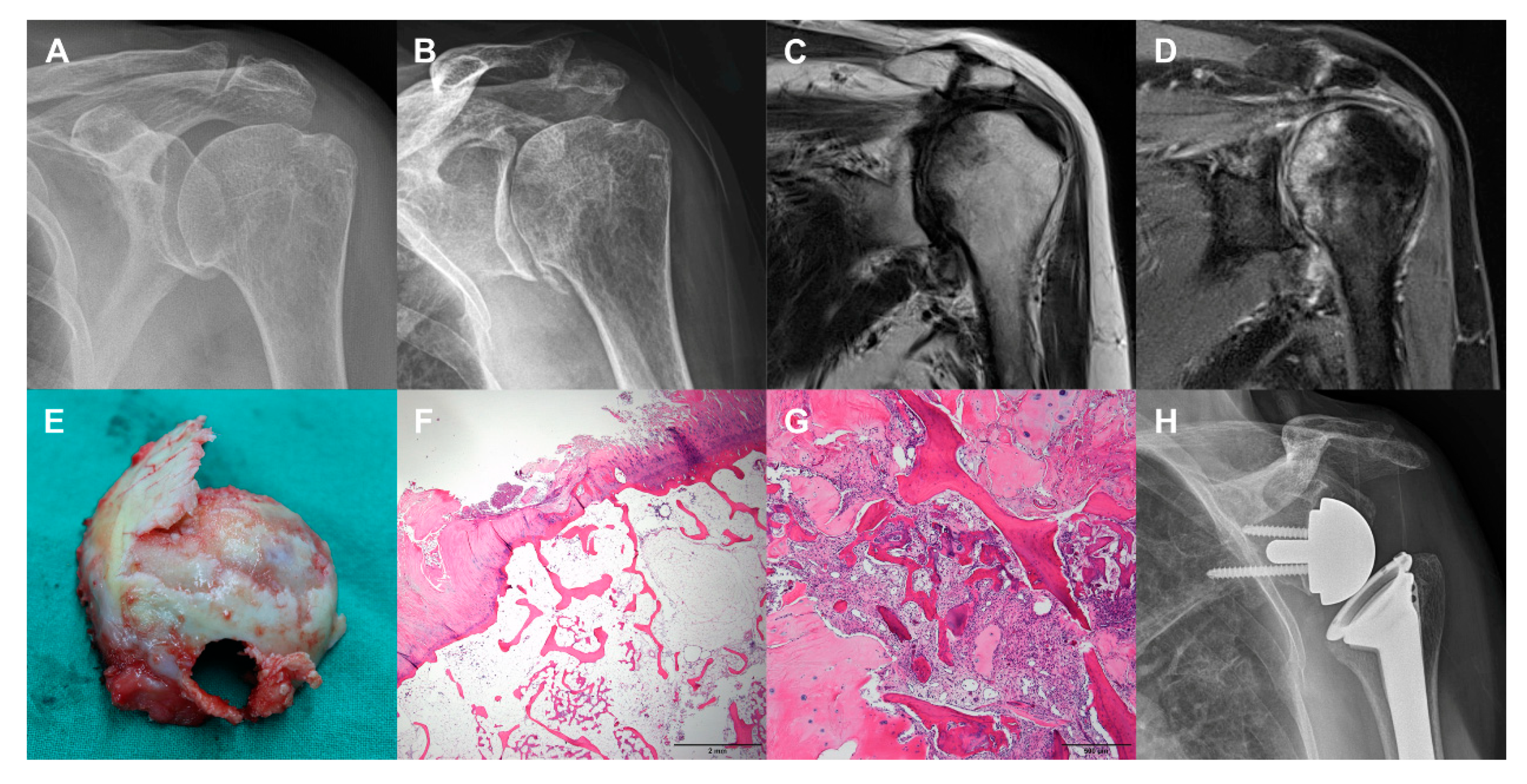 Diagnostics 10 00885 g004 Diagnostics 10 00885 g004