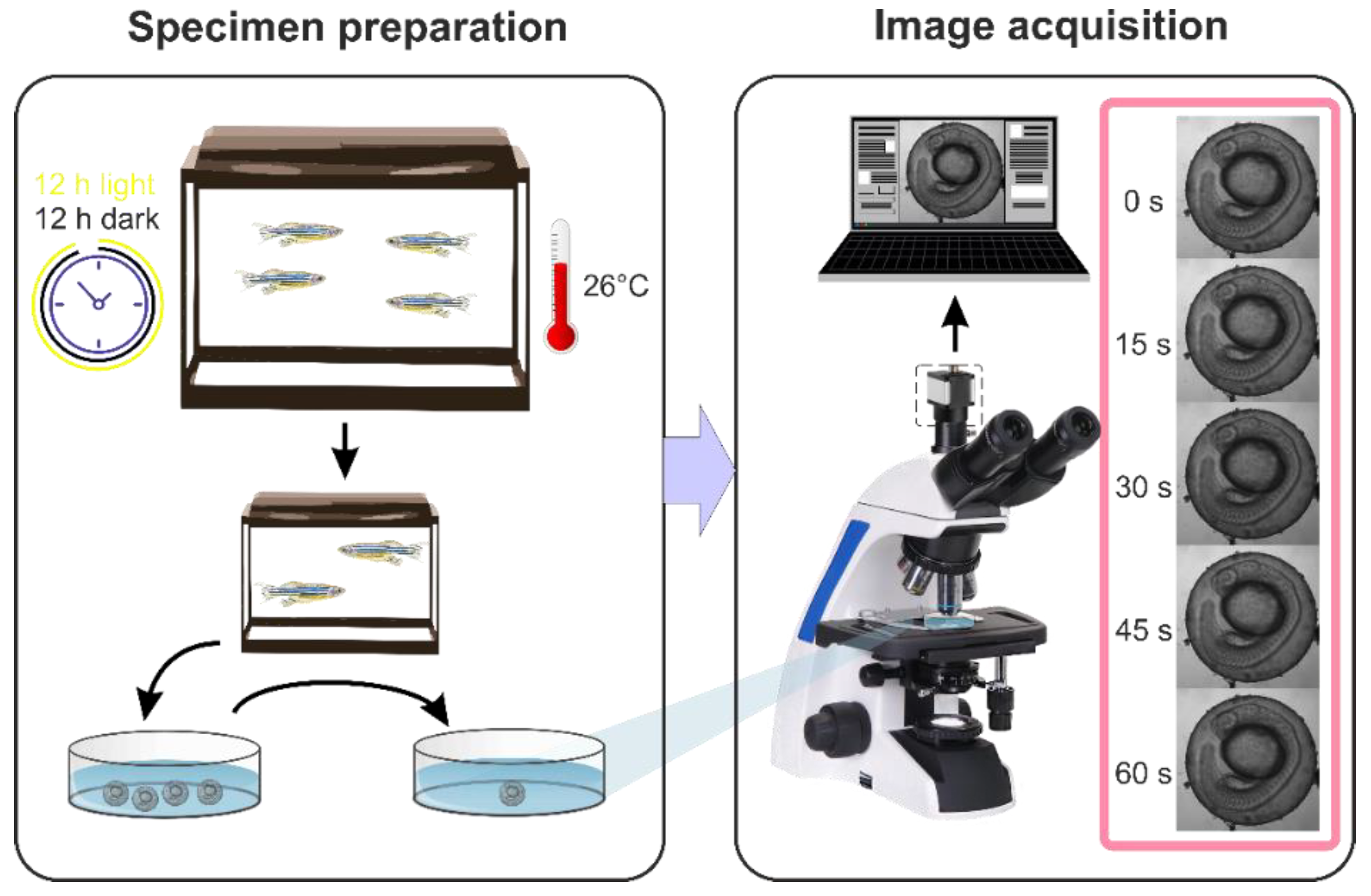 Diagnostics 10 00886 g001