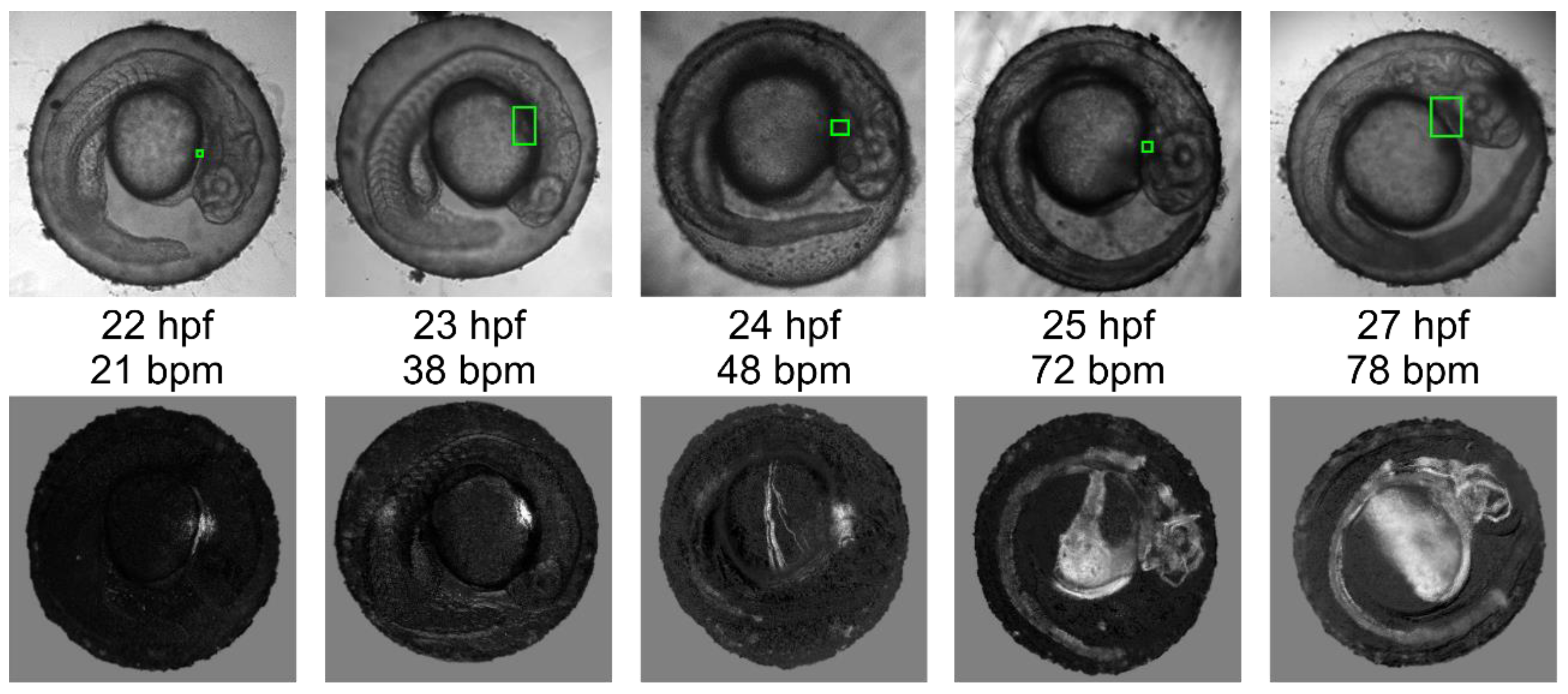 Diagnostics 10 00886 g005