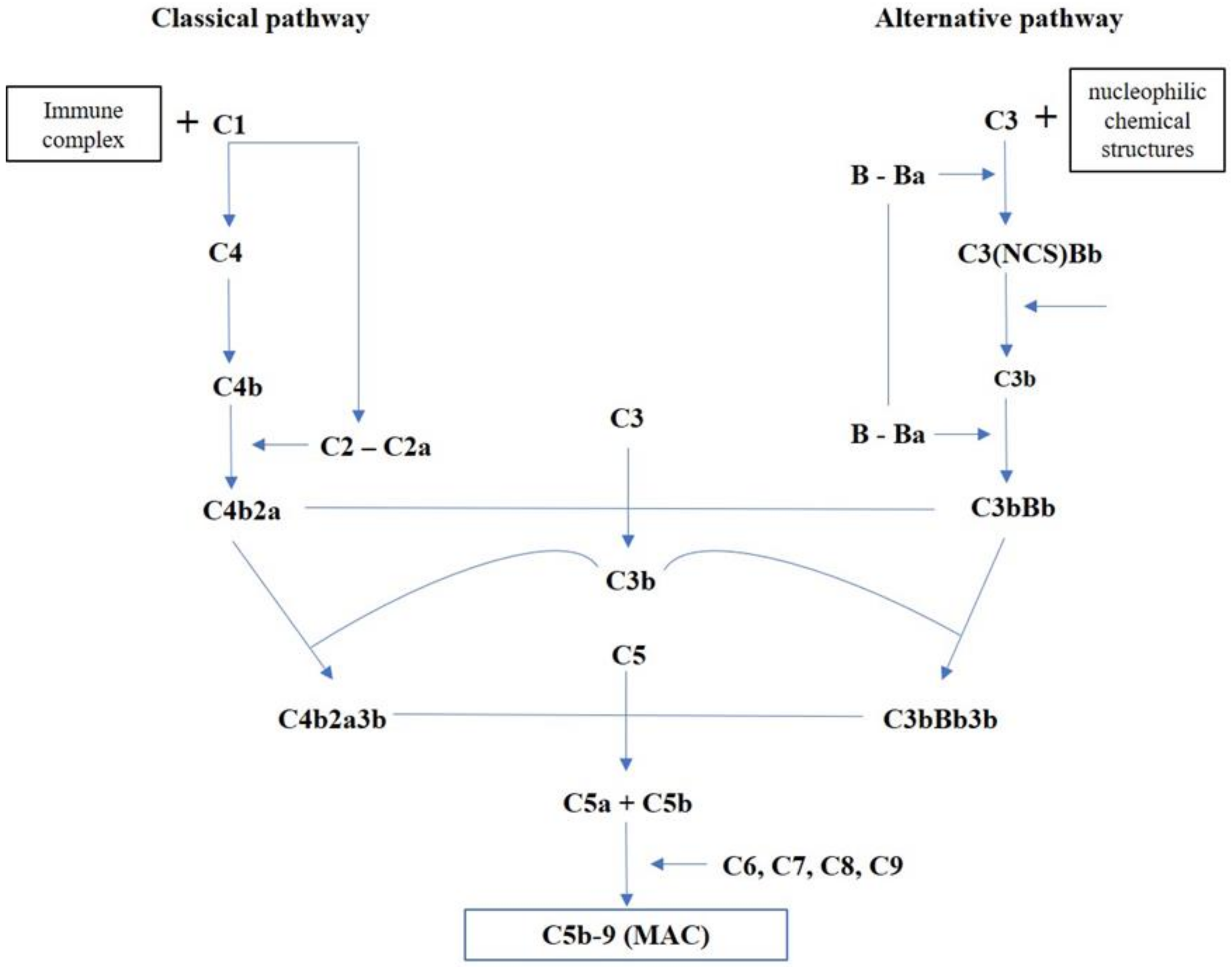 Diagnostics 10 00898 g001 Diagnostics 10 00898 g001