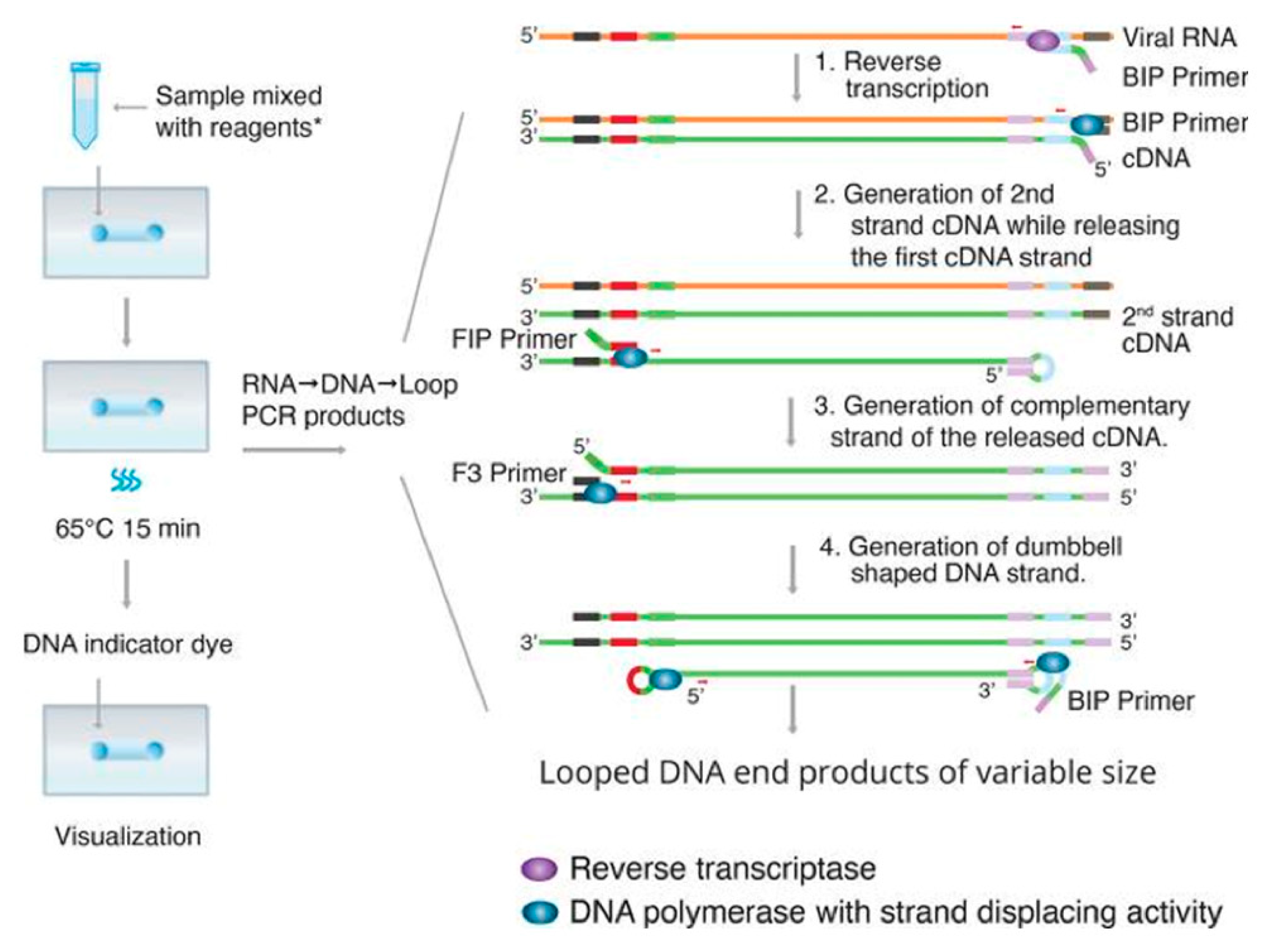 Diagnostics 10 00905 g003