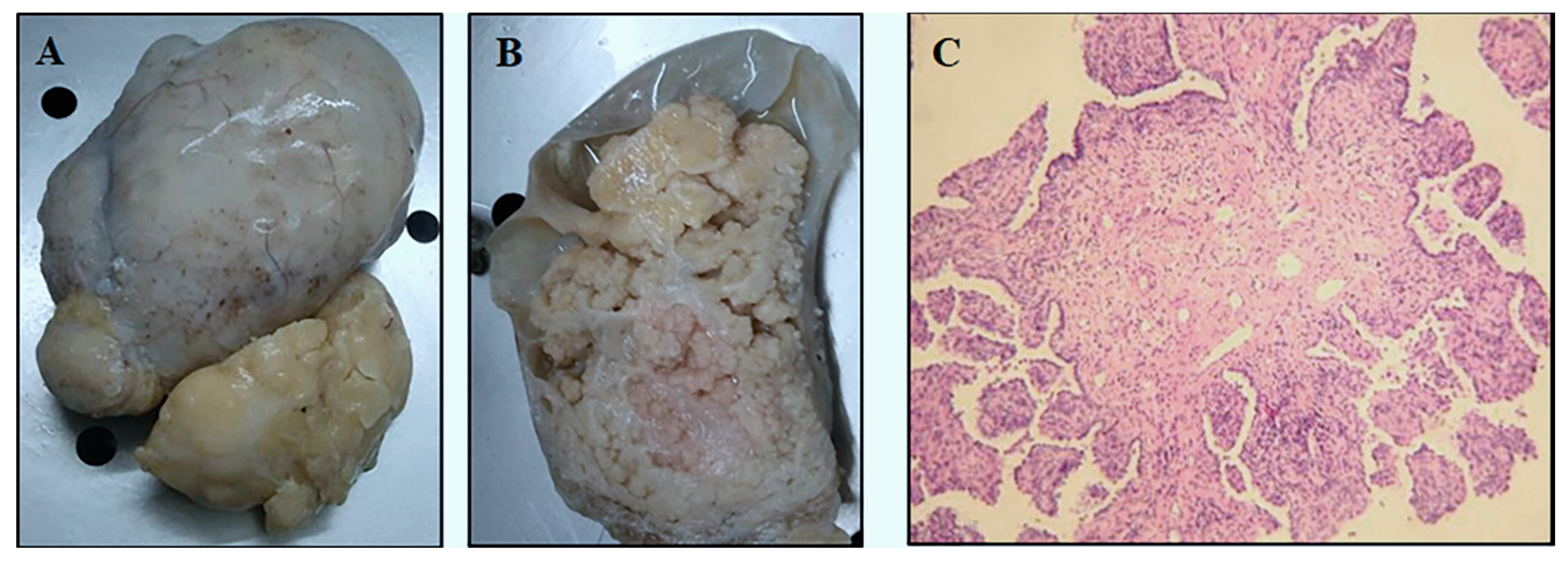 Diagnostics 10 00906 g001