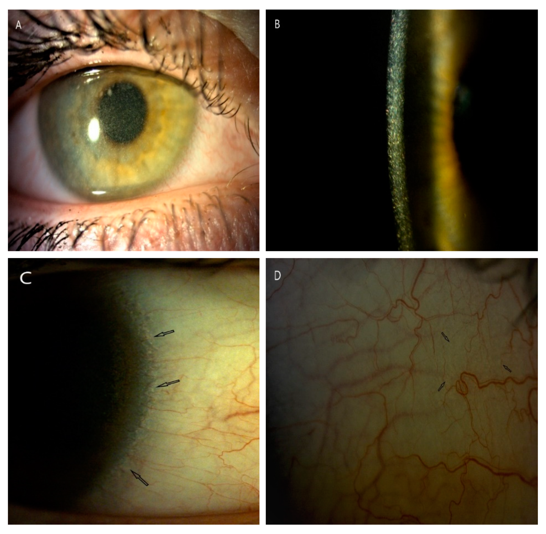 Diagnostics 10 00911 g001