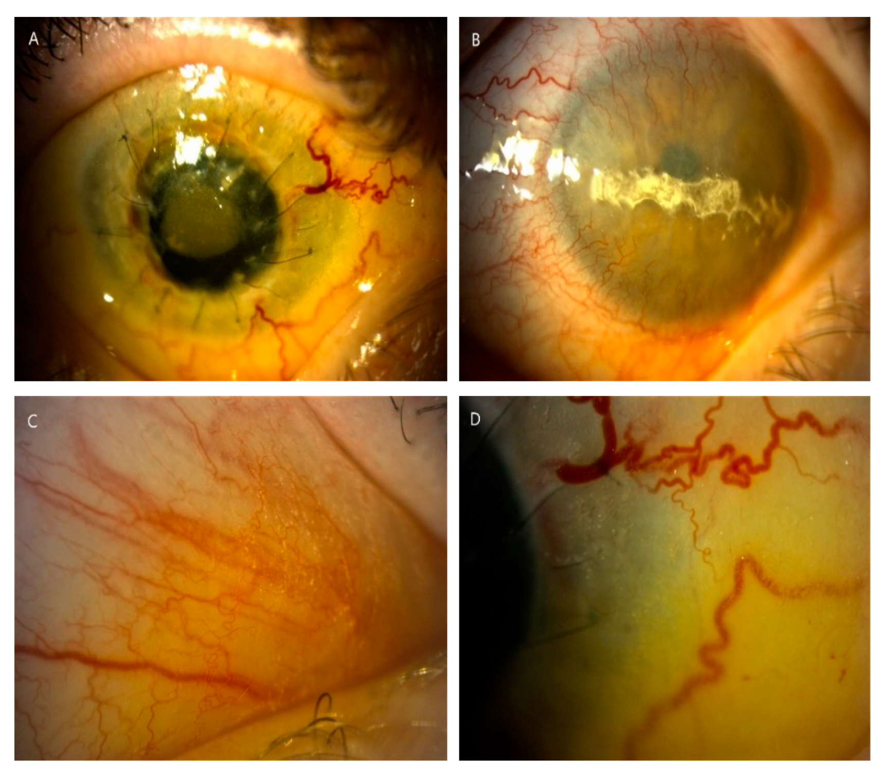 Diagnostics 10 00911 g003