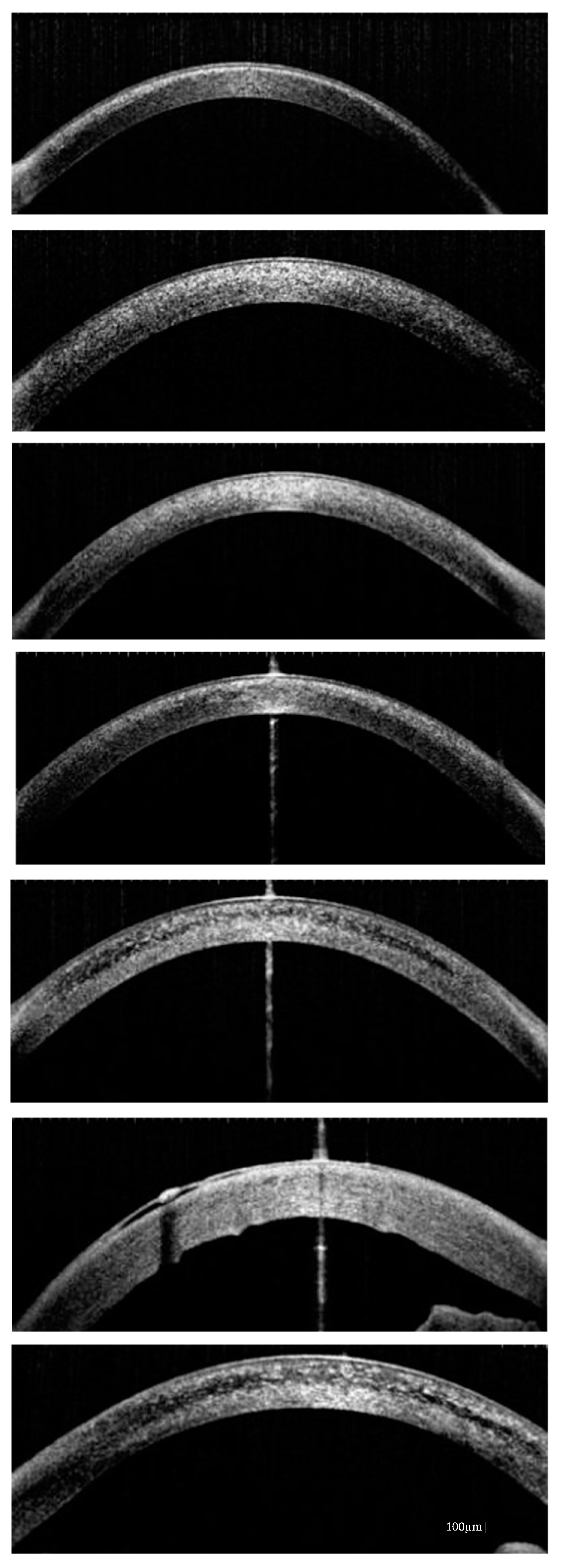 Diagnostics 10 00911 g004