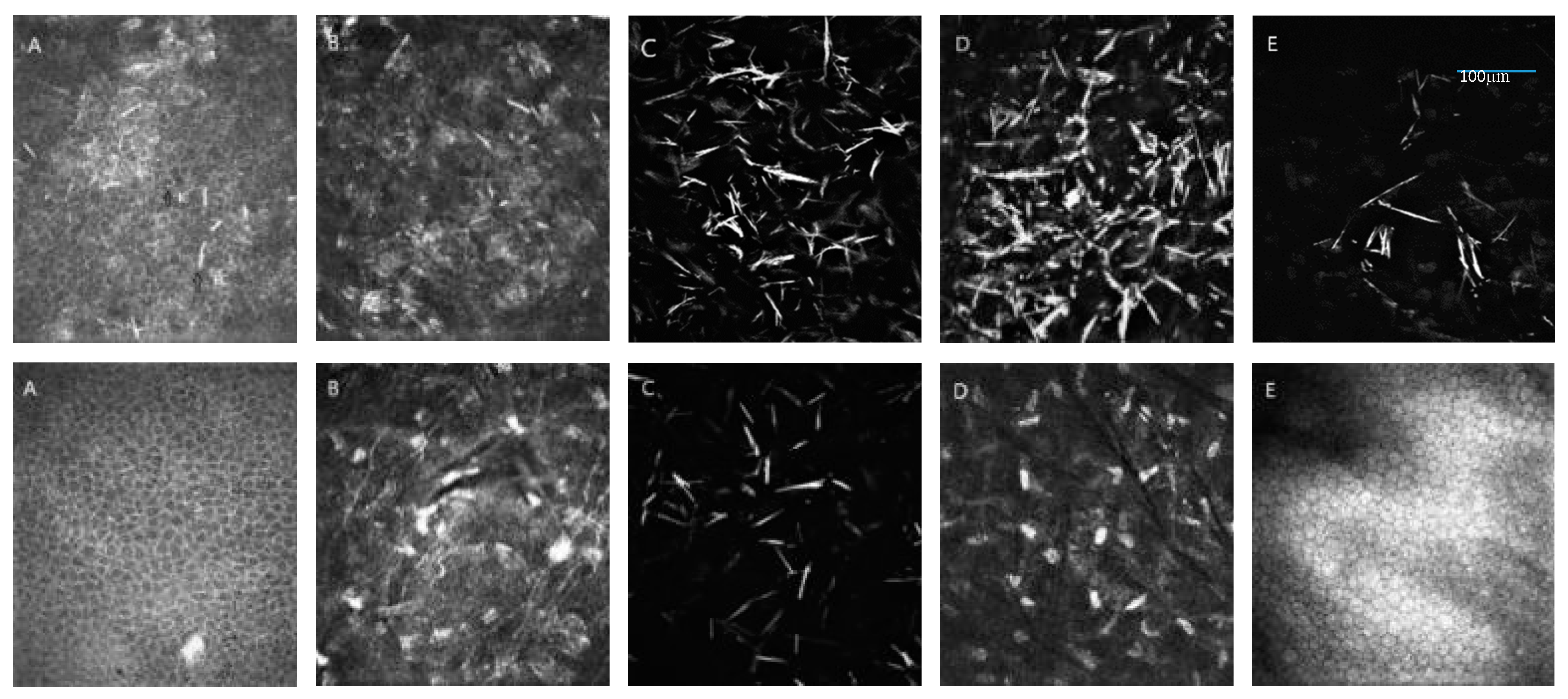 Diagnostics 10 00911 g005