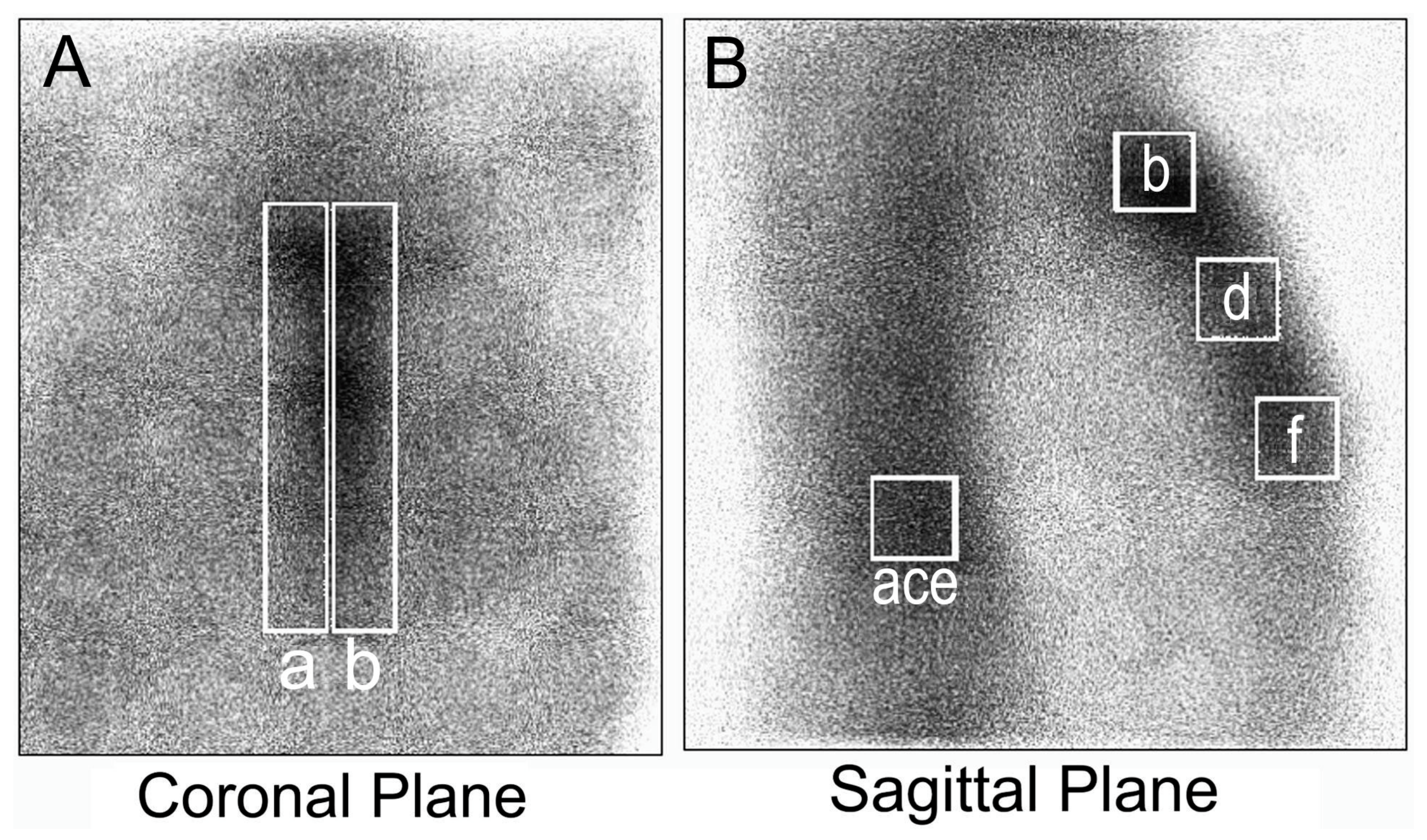 Diagnostics 10 00921 g001