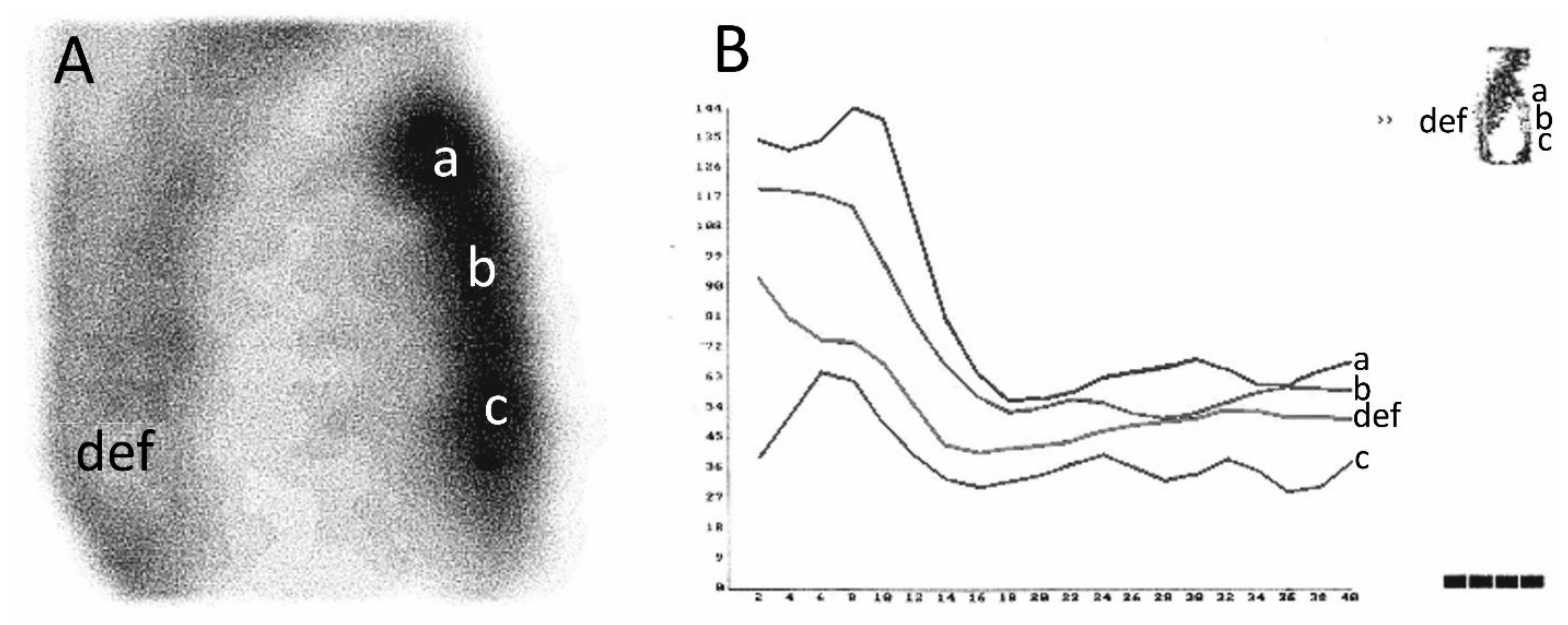 Diagnostics 10 00921 g004
