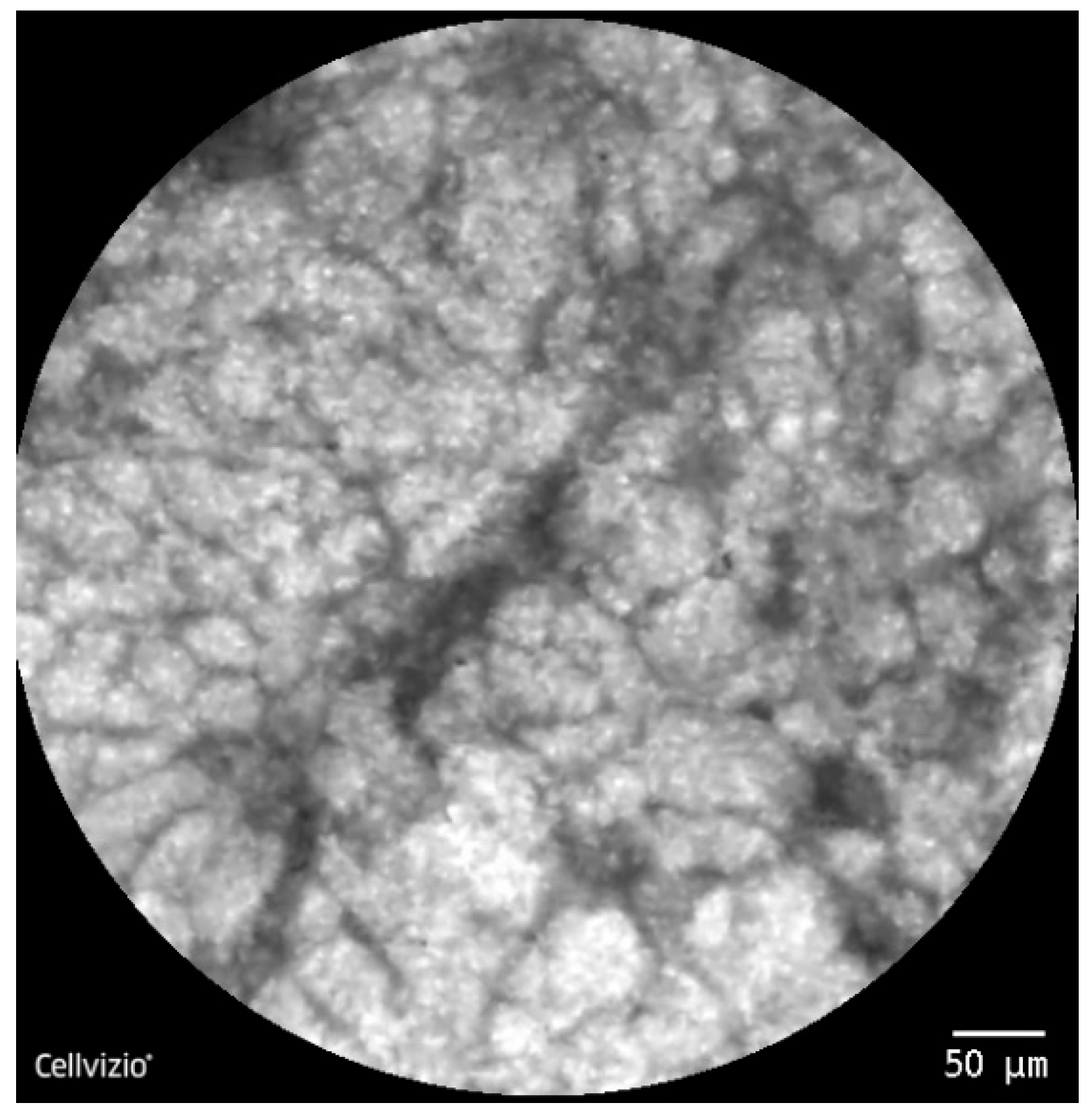 Diagnostics 10 00923 g005