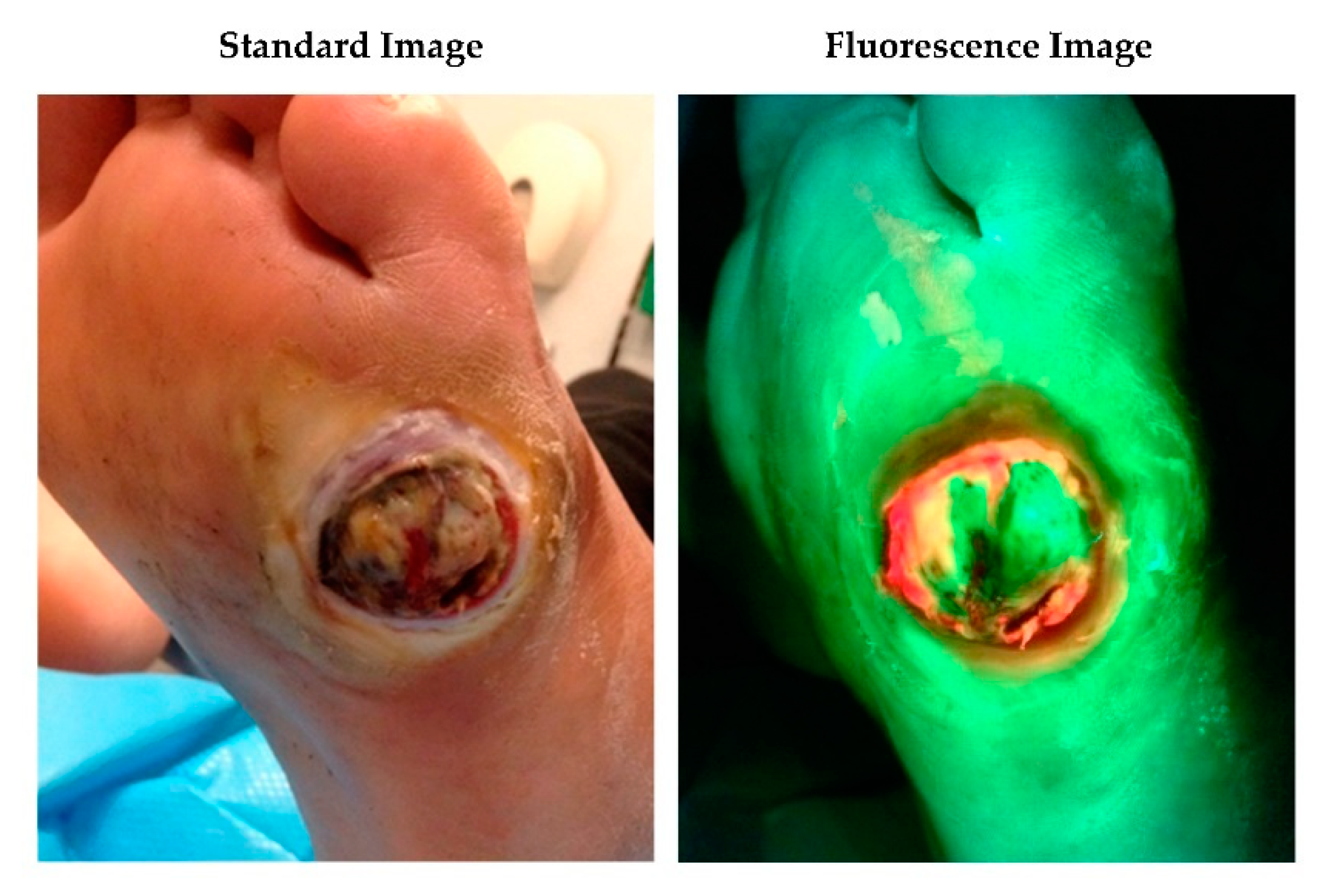 Diagnostics 10 00927 g002 Diagnostics 10 00927 g002