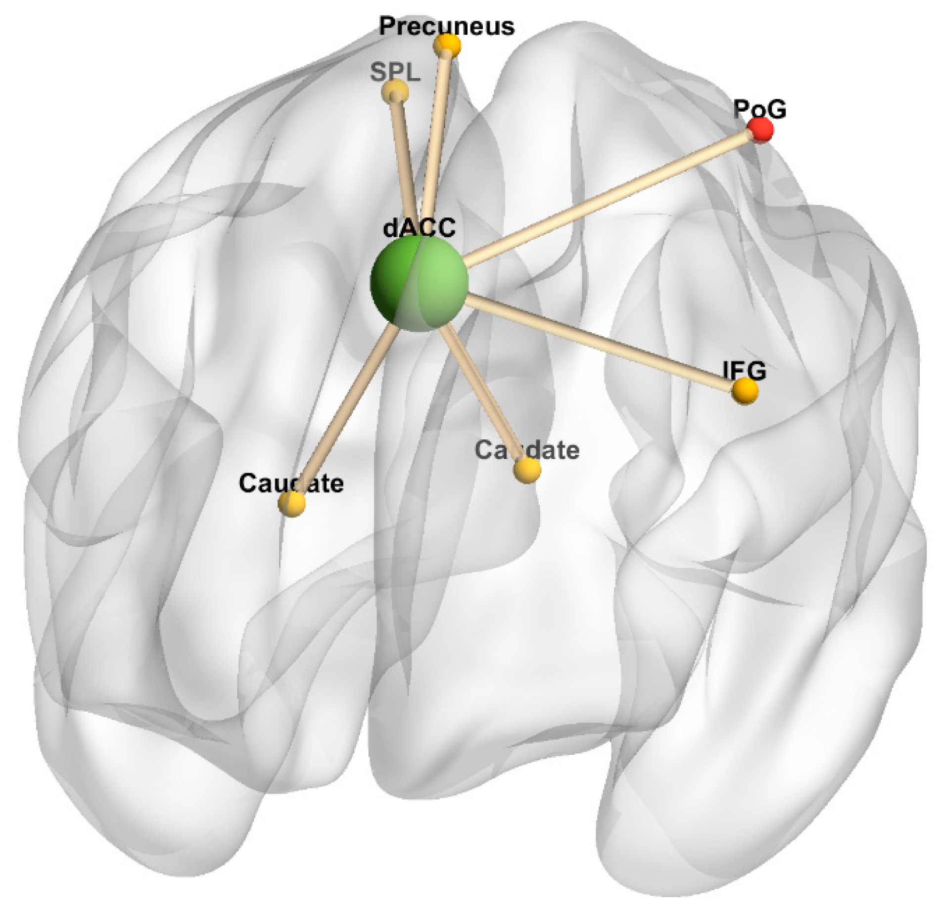 Diagnostics 10 00930 g006