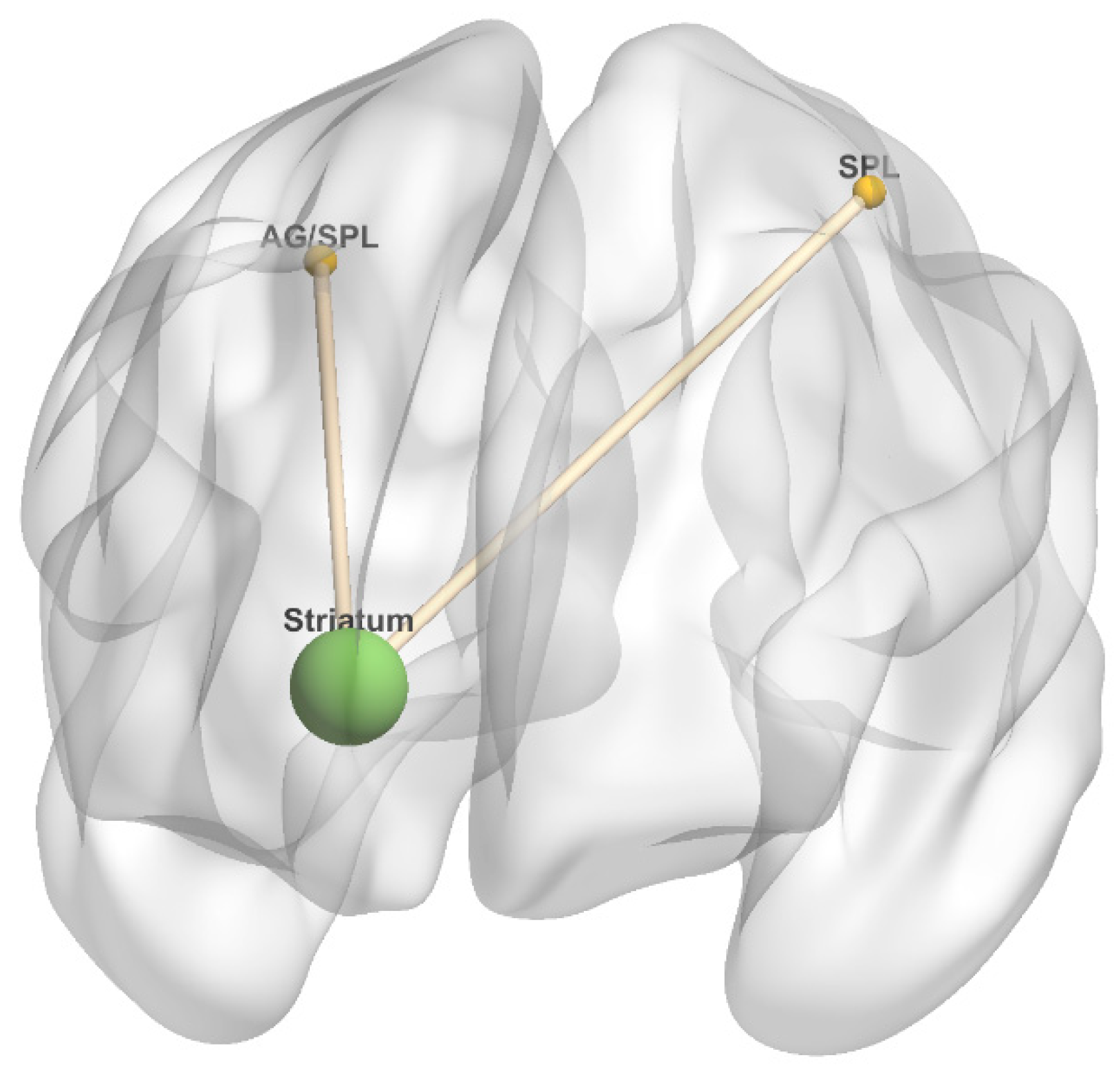 Diagnostics 10 00930 g008