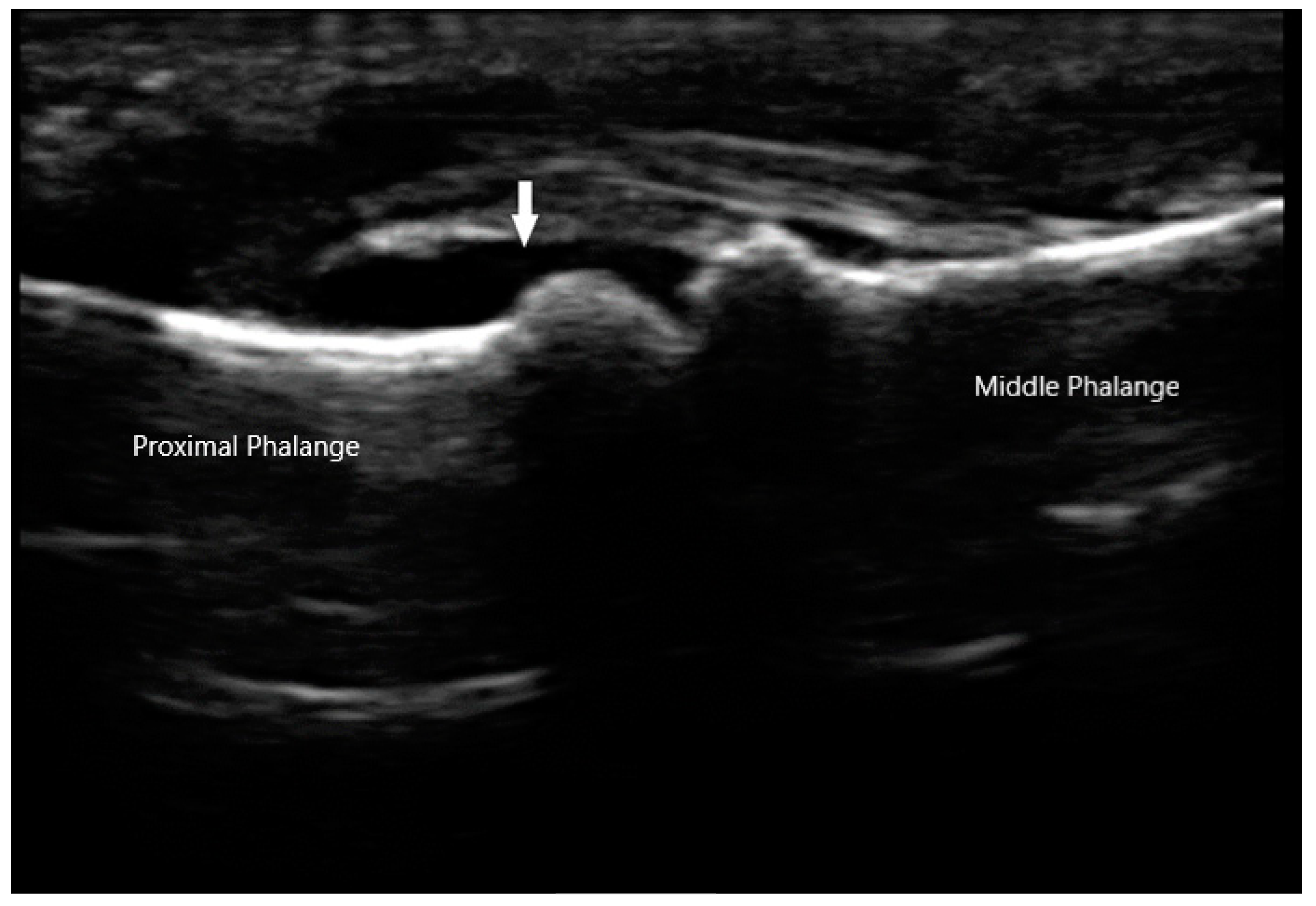 Diagnostics 10 00933 g002