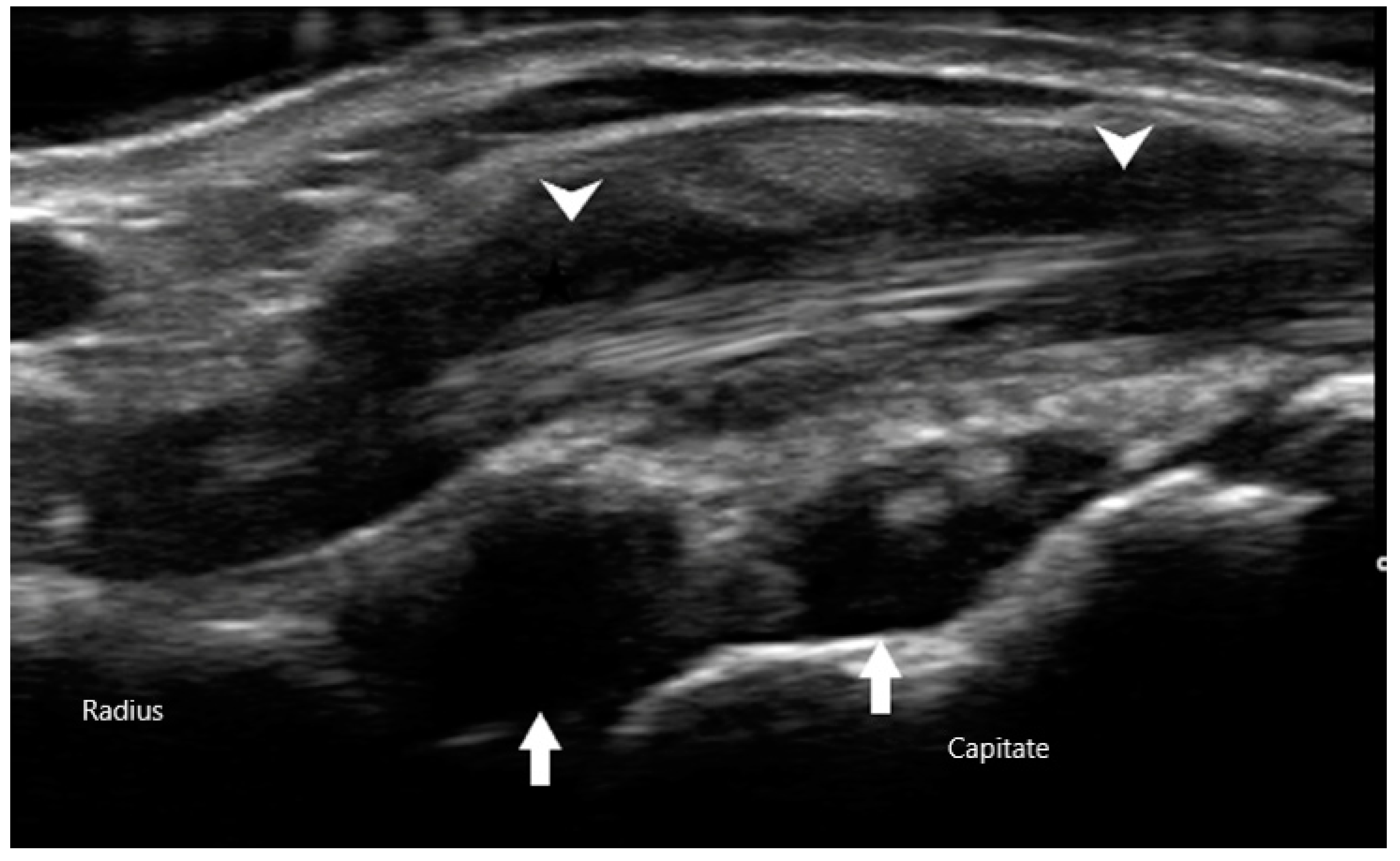Diagnostics 10 00933 g003