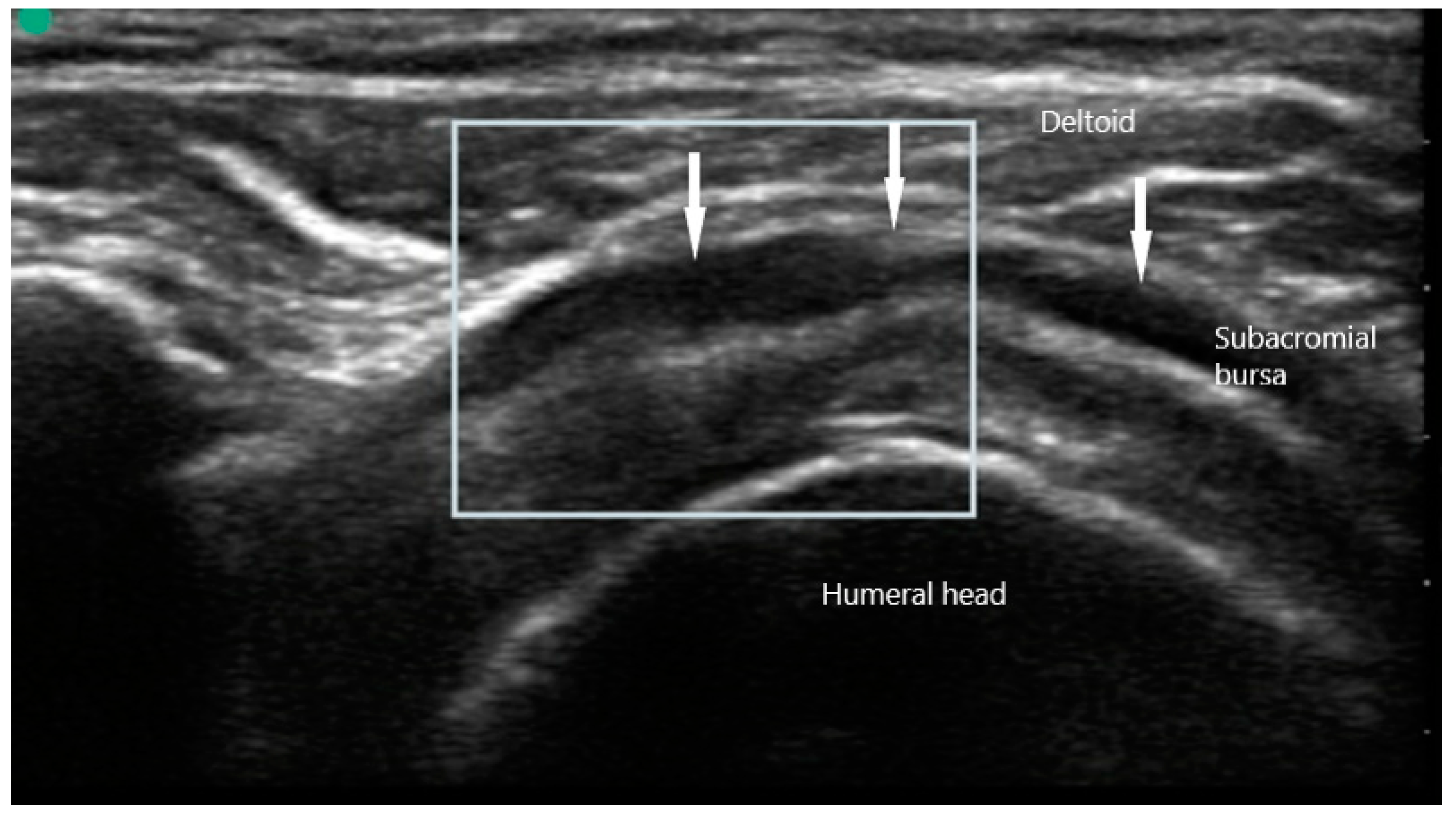 Diagnostics 10 00933 g008