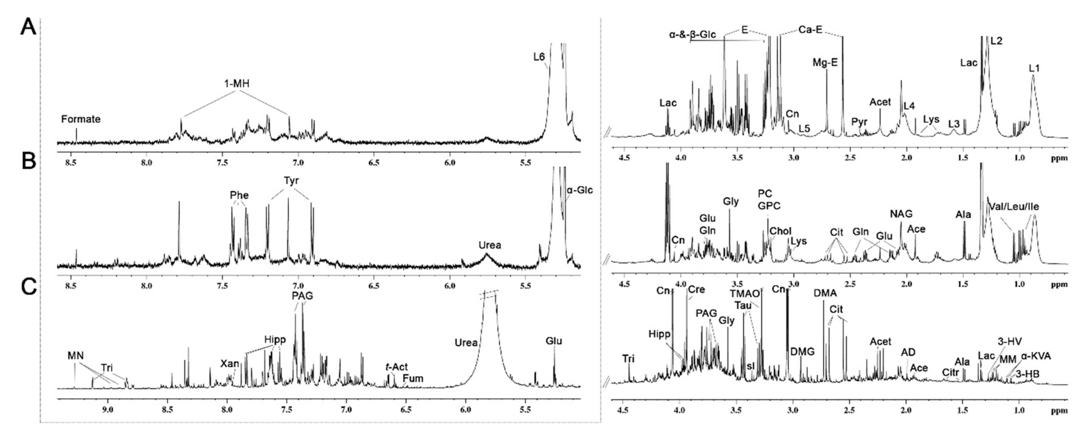 Diagnostics 10 00936 g001