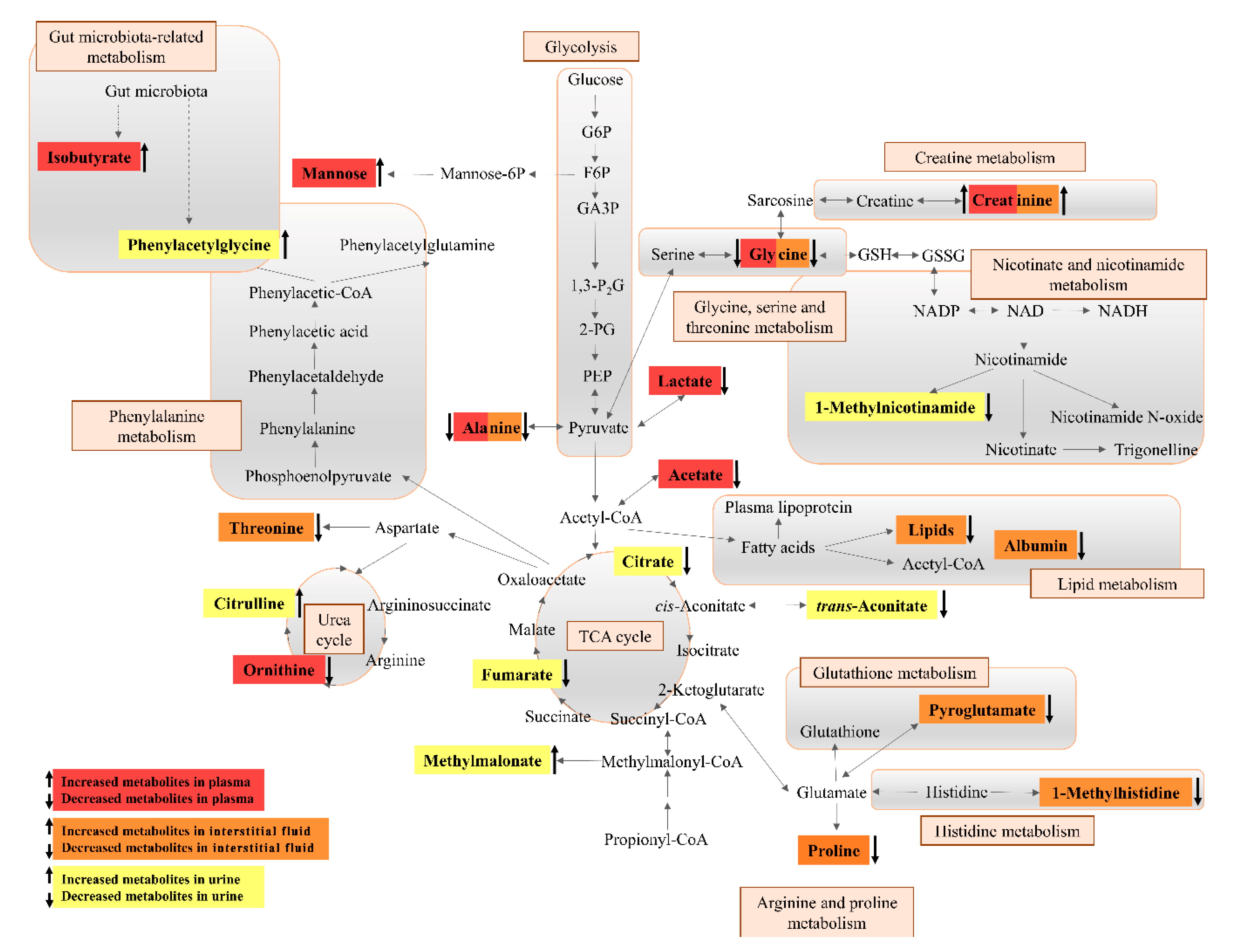 Diagnostics 10 00936 g004