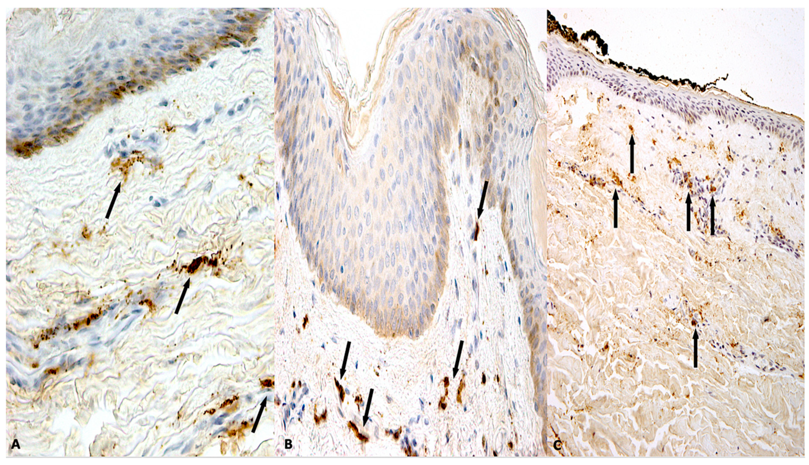 Diagnostics 10 00938 g001