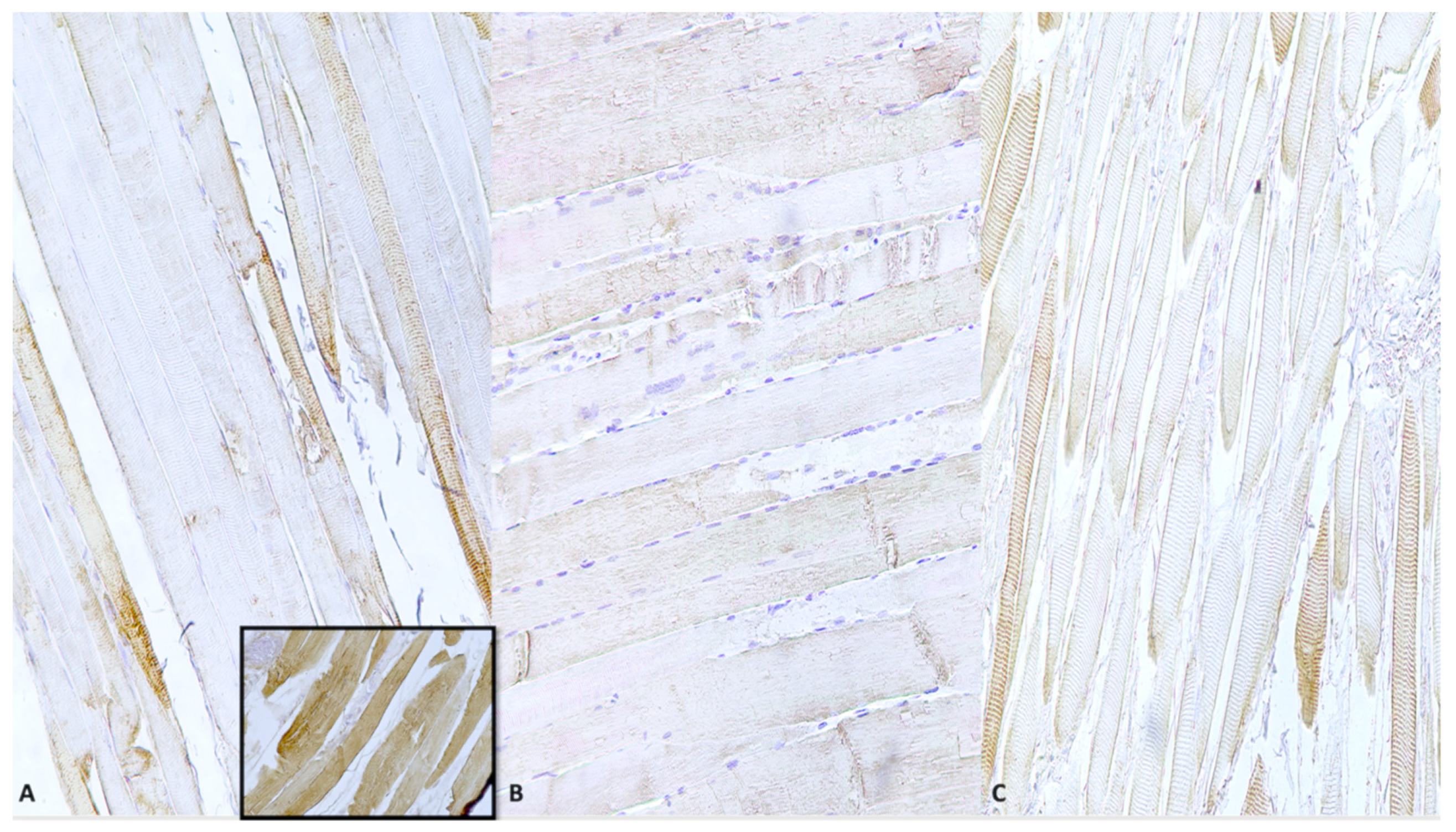 Diagnostics 10 00938 g002