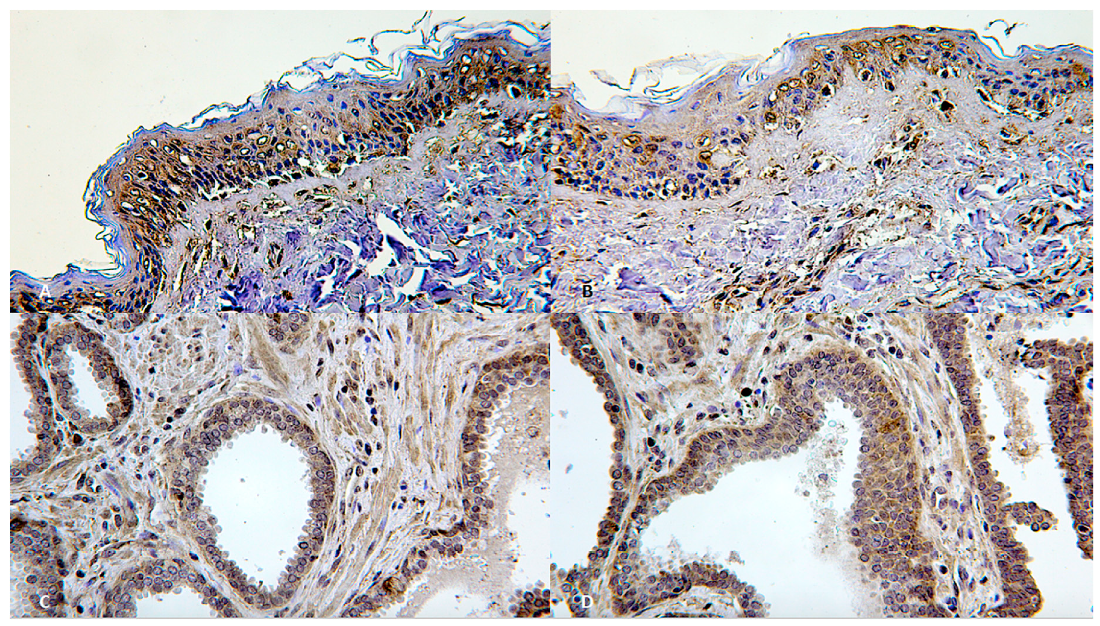 Diagnostics 10 00938 g005