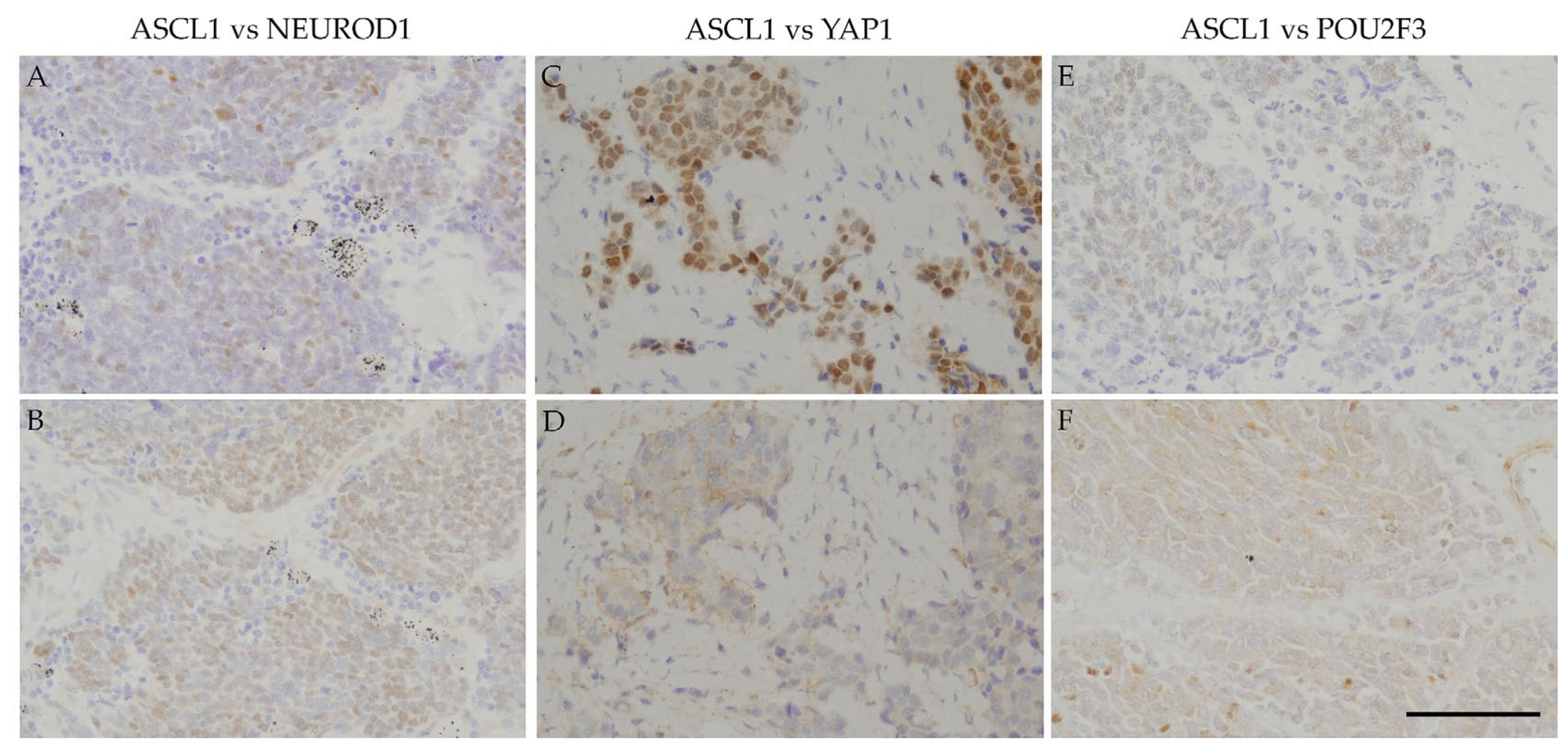 Diagnostics 10 00949 g002