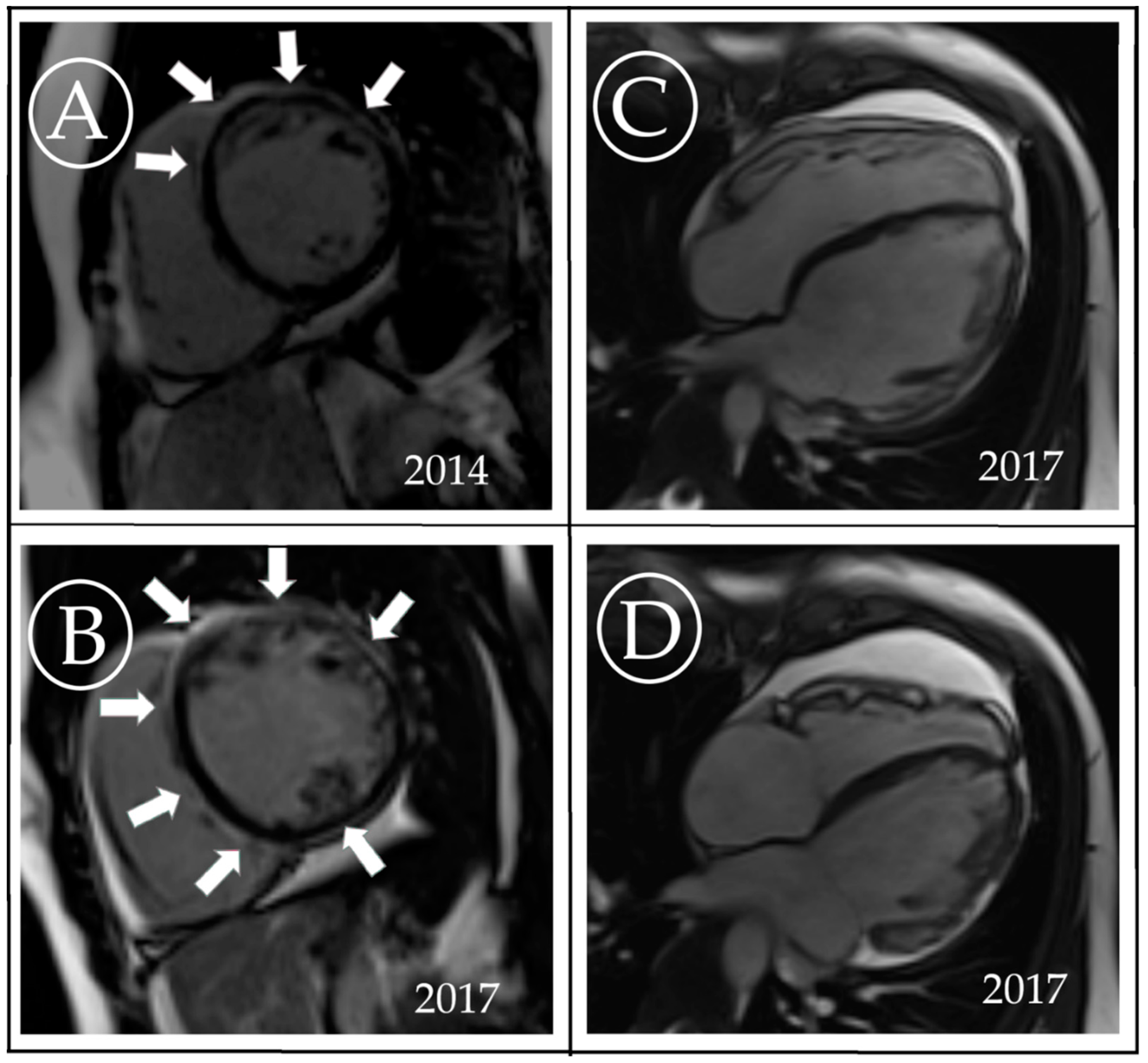 Diagnostics 10 00955 g003 Diagnostics 10 00955 g003