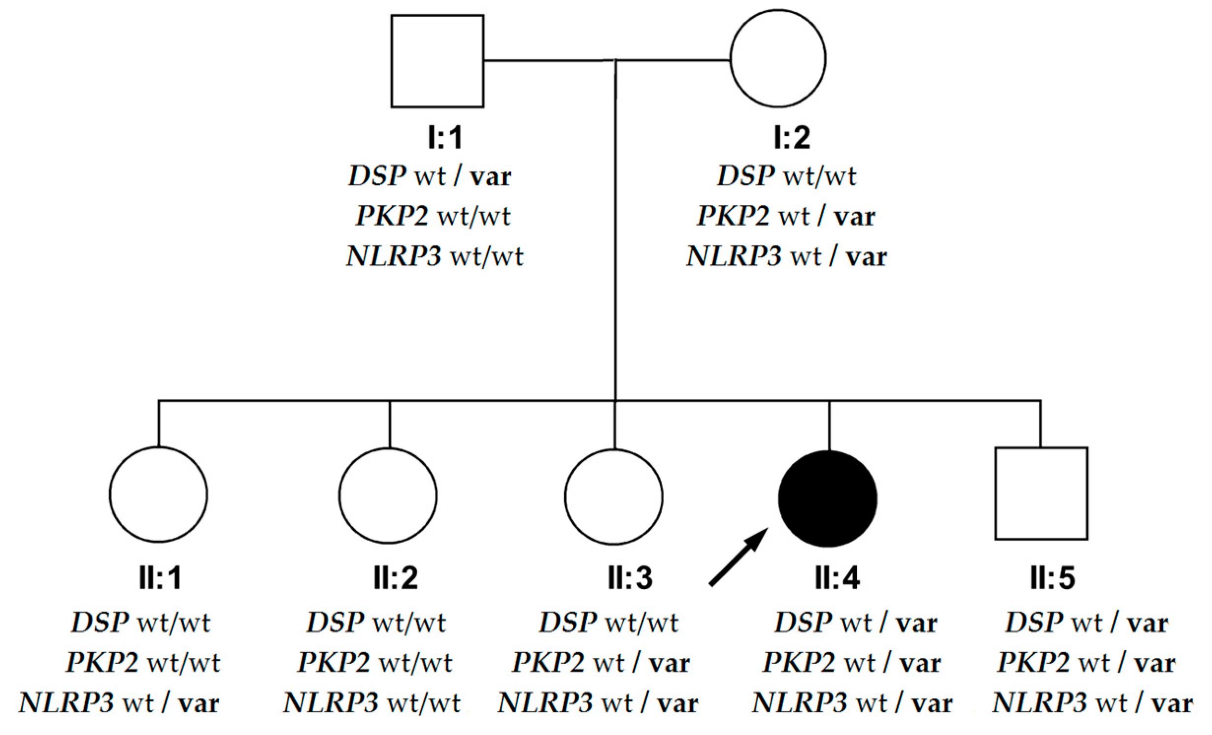 Diagnostics 10 00955 g005 Diagnostics 10 00955 g005