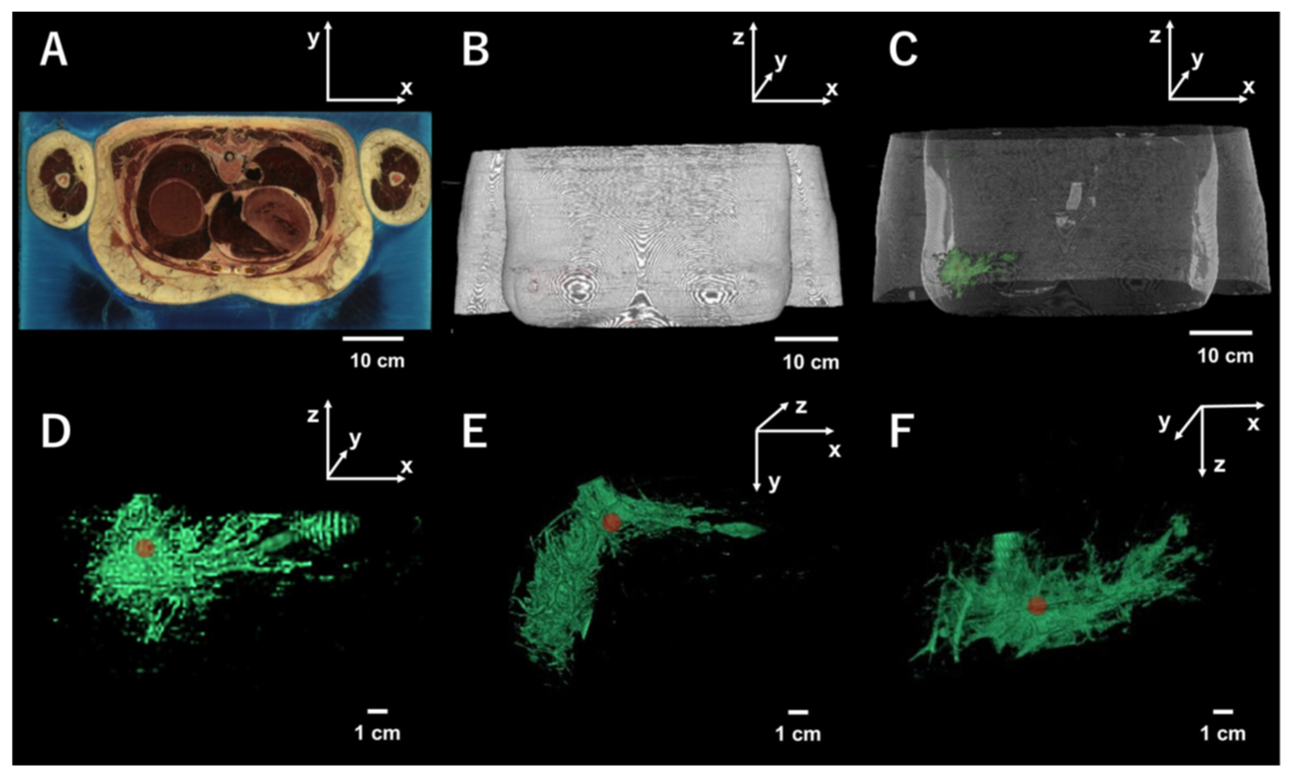 Diagnostics 10 00961 g001 Diagnostics 10 00961 g001