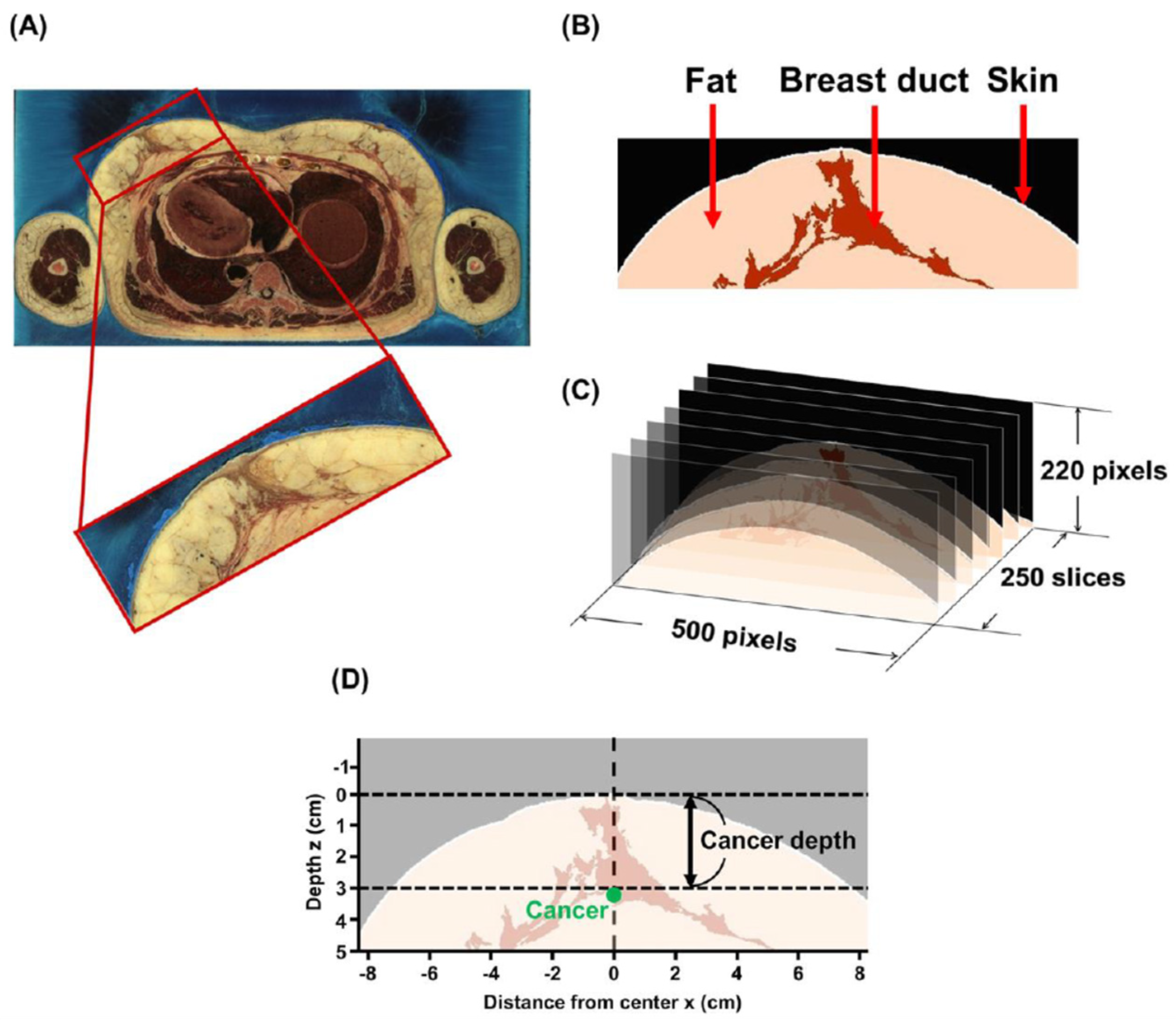 Diagnostics 10 00961 g002 Diagnostics 10 00961 g002