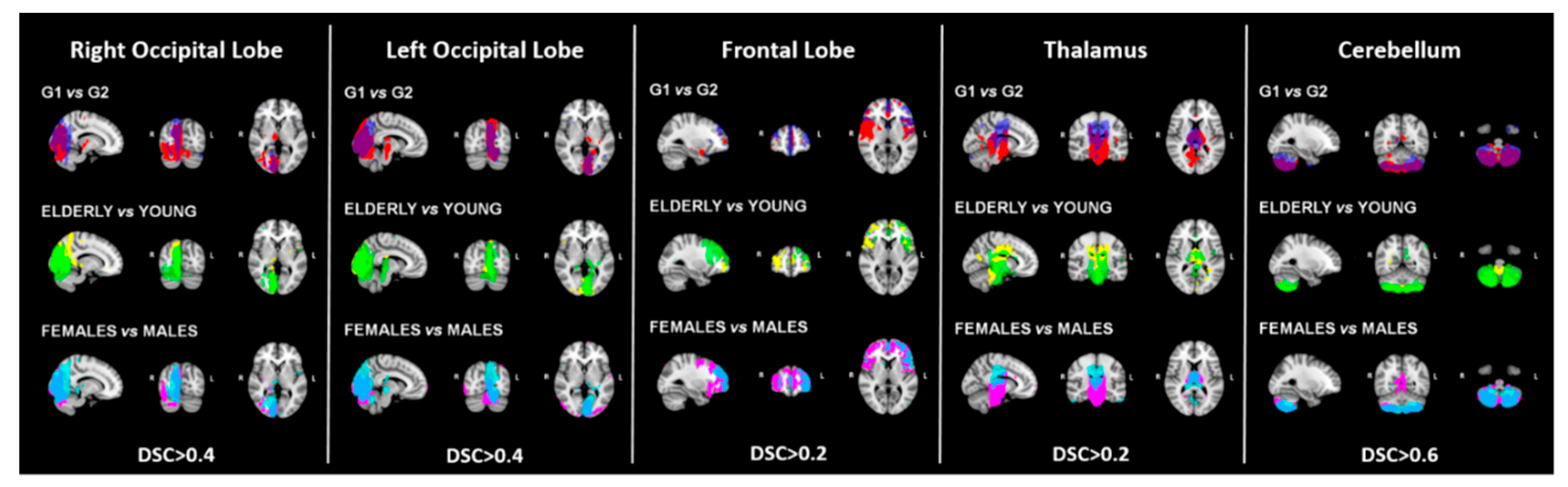 Diagnostics 10 00963 g001 Diagnostics 10 00963 g001