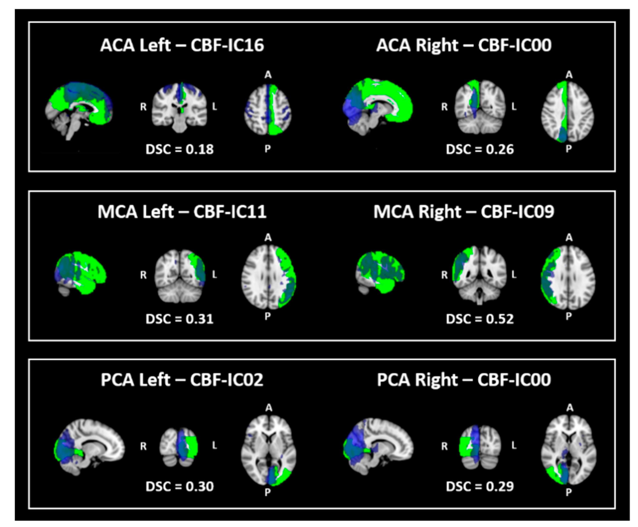 Diagnostics 10 00963 g003 Diagnostics 10 00963 g003