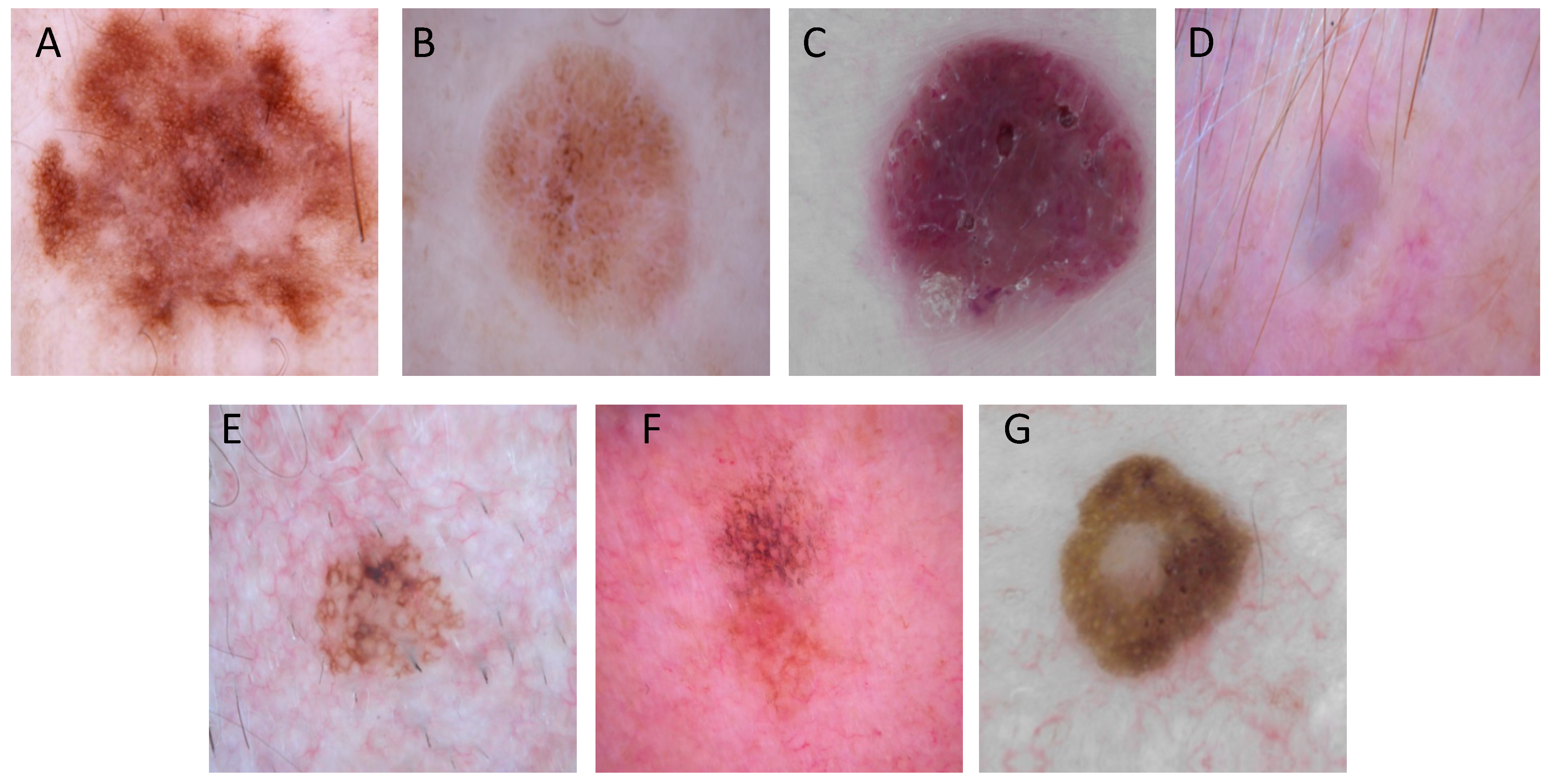 Diagnostics 10 00969 g002