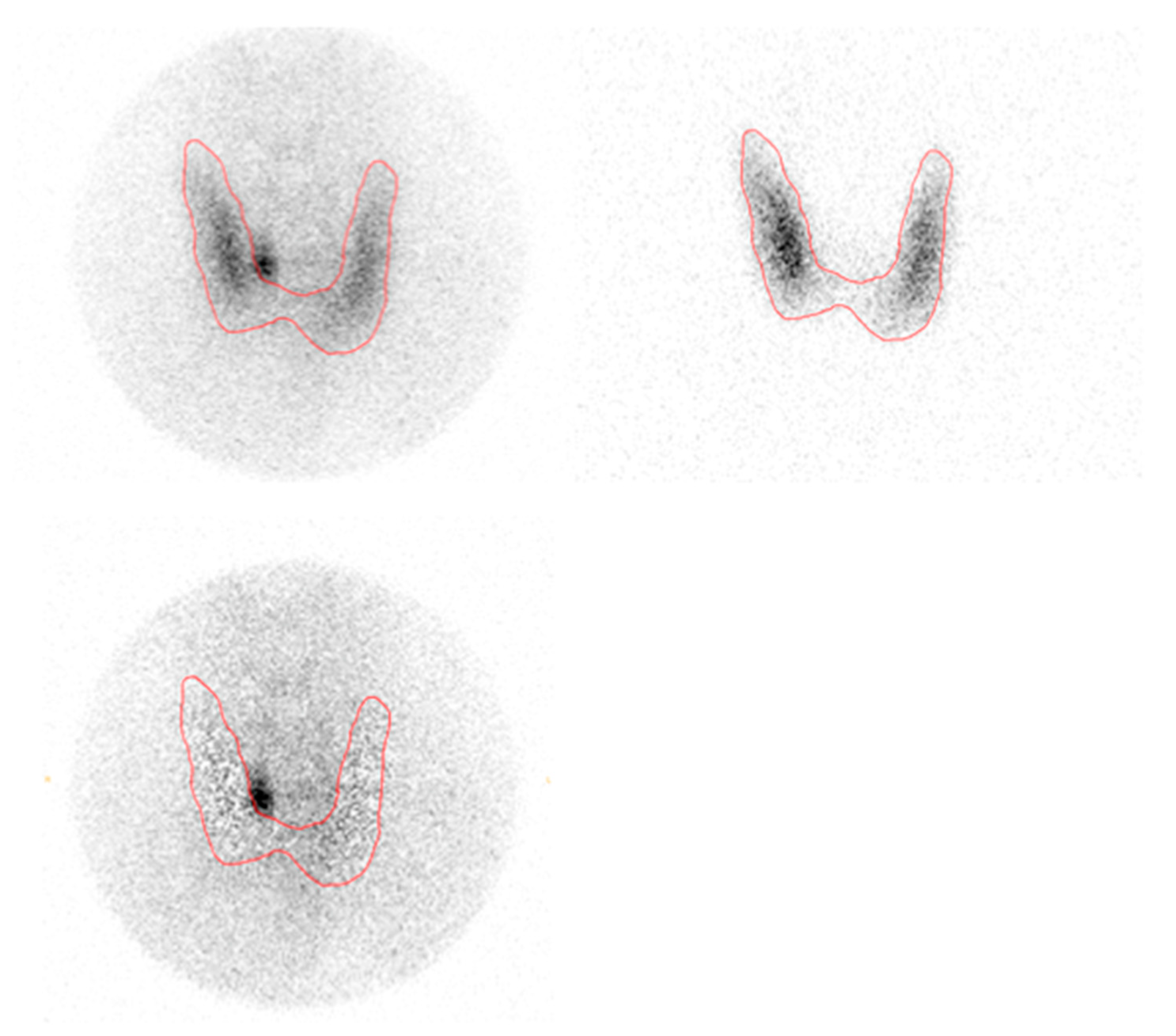 Diagnostics 10 00975 g001