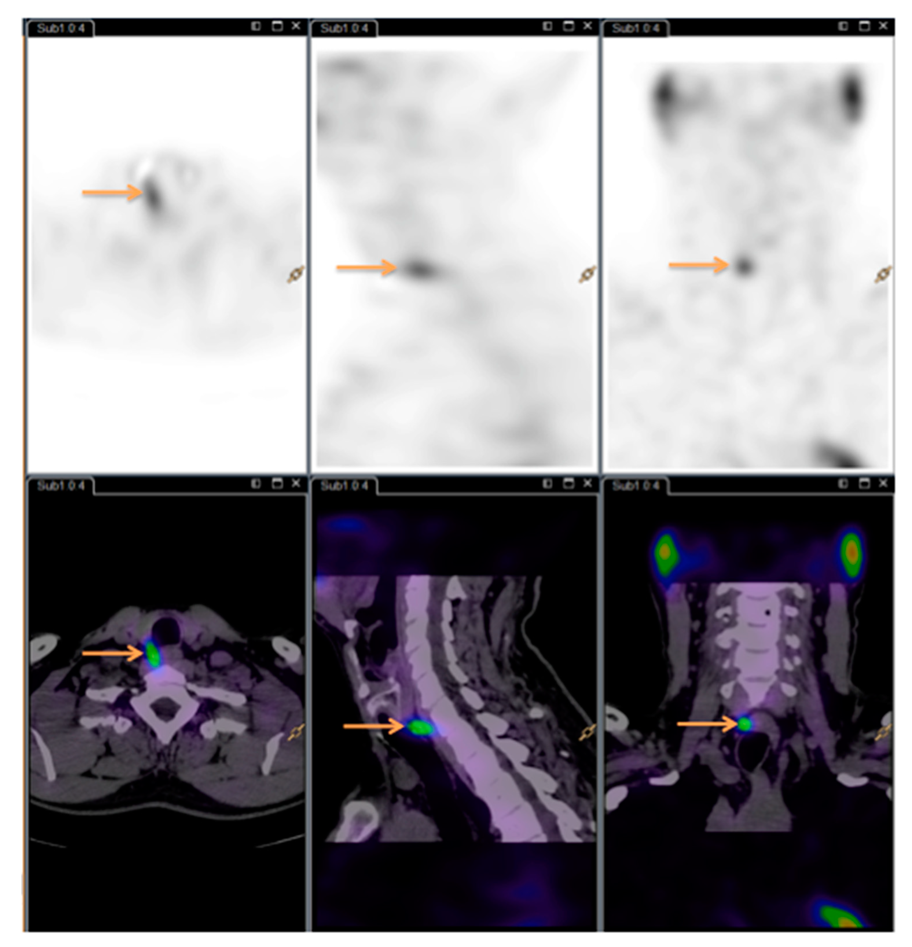Diagnostics 10 00975 g002