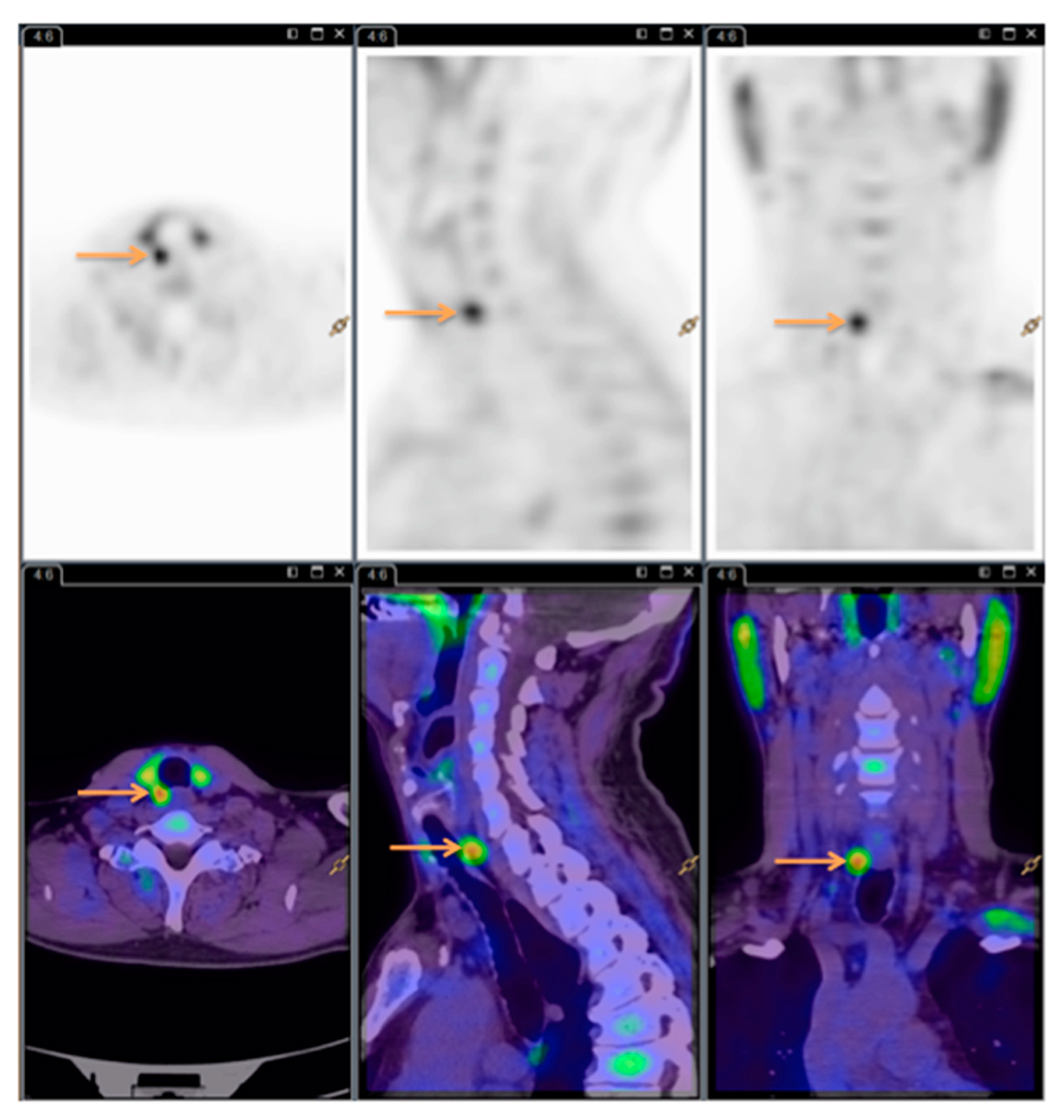 Diagnostics 10 00975 g003