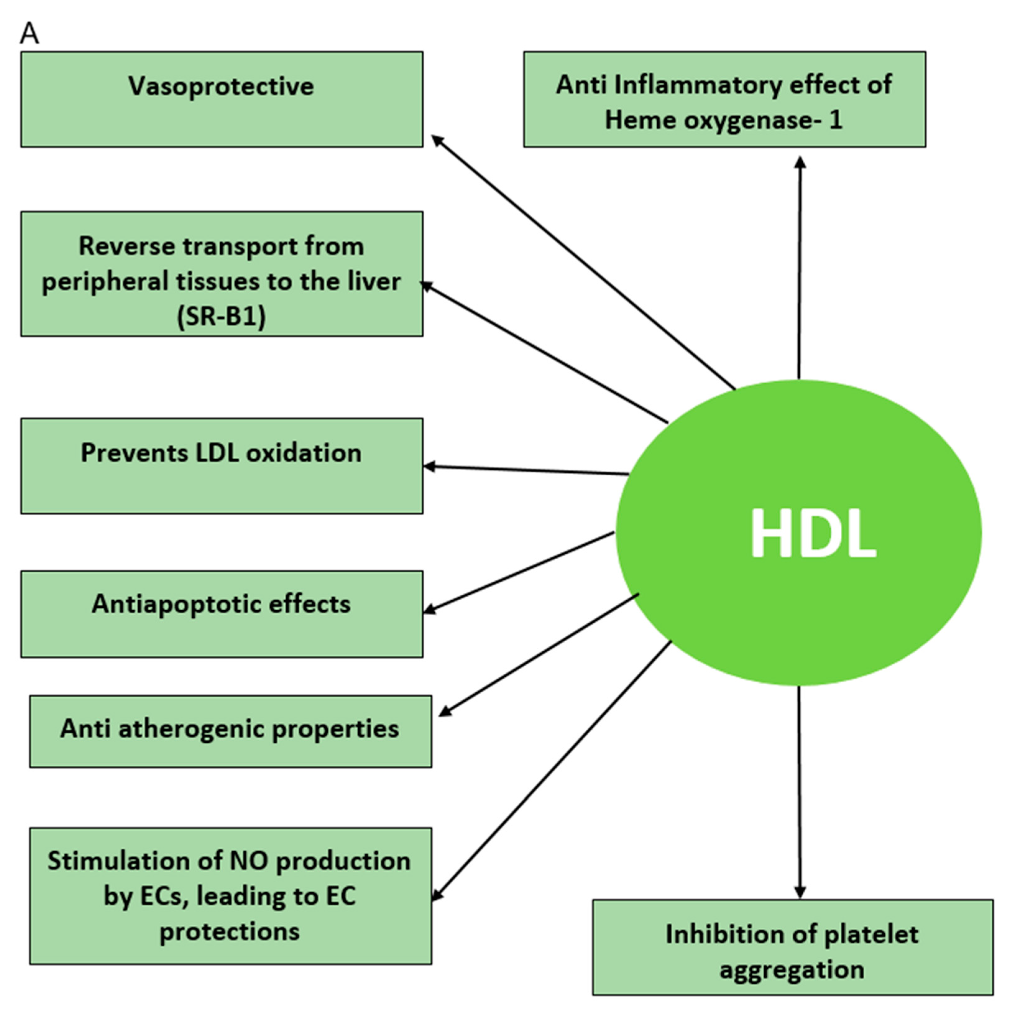 Diagnostics 10 00976 g001a