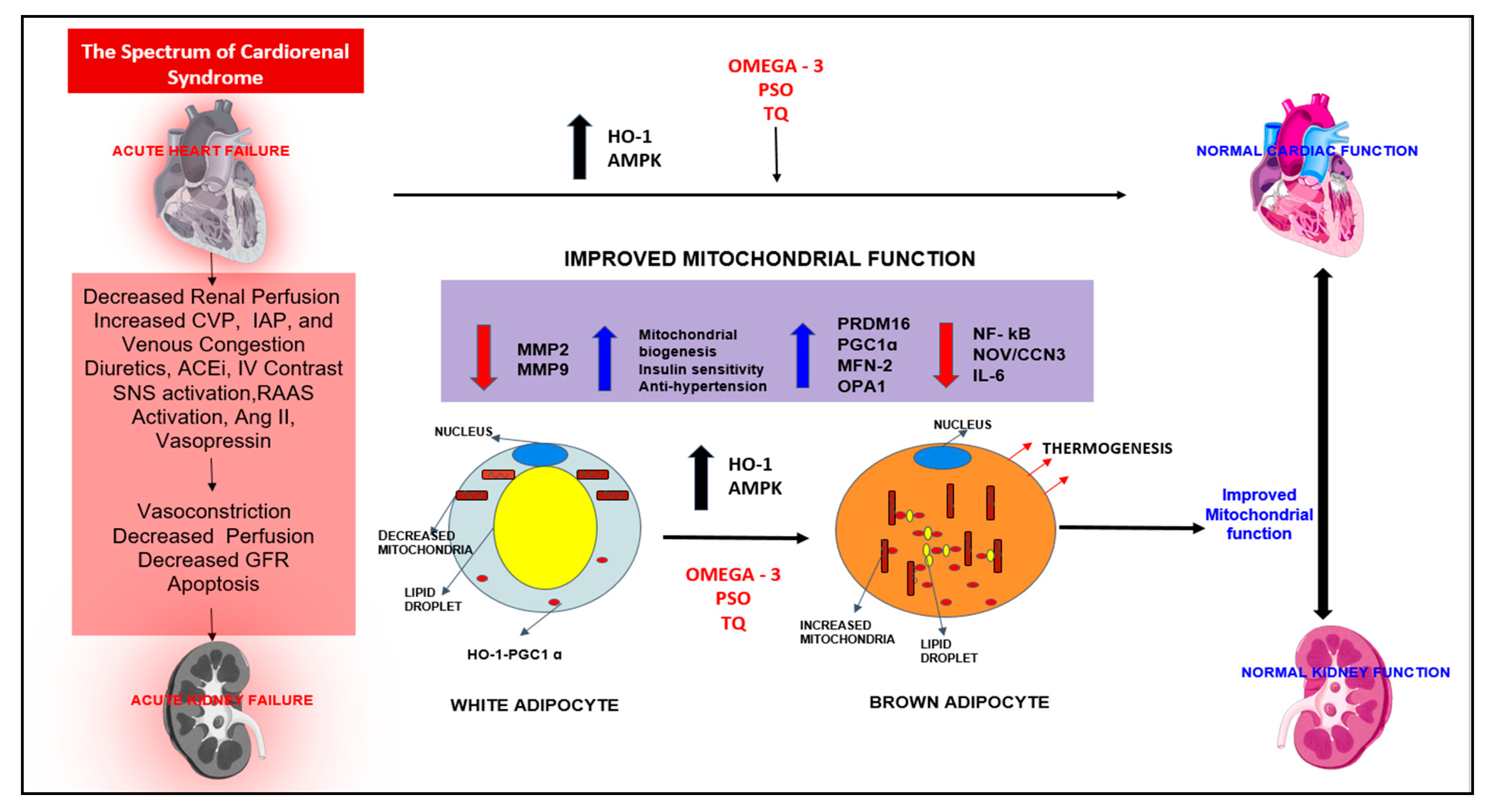 Diagnostics 10 00976 g007