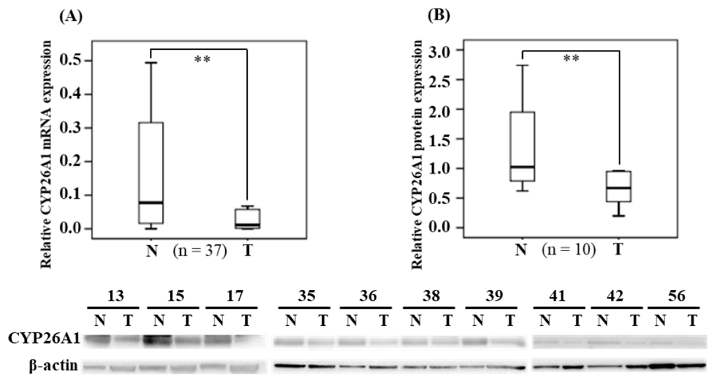 Diagnostics 10 00982 g001