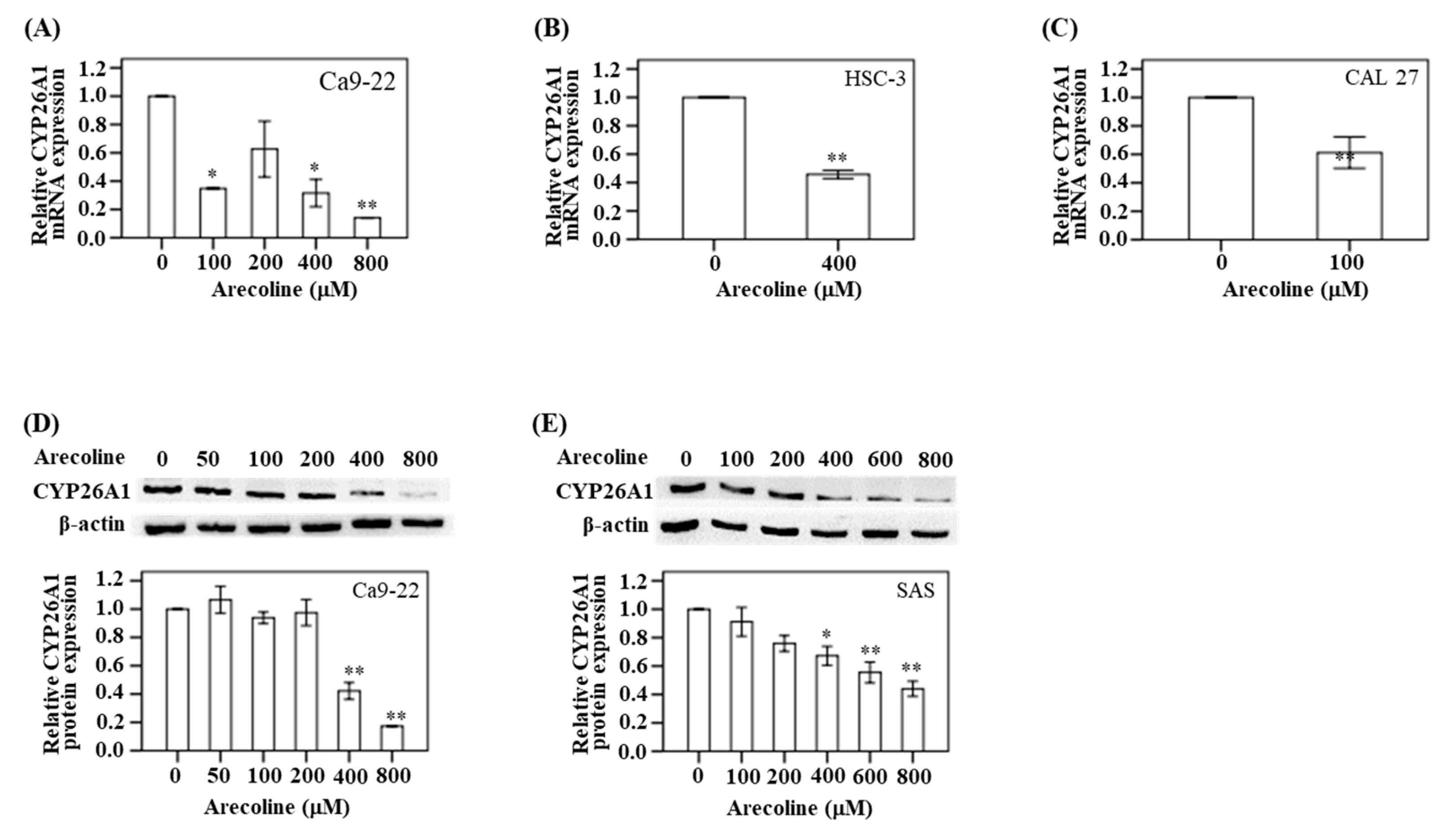 Diagnostics 10 00982 g003