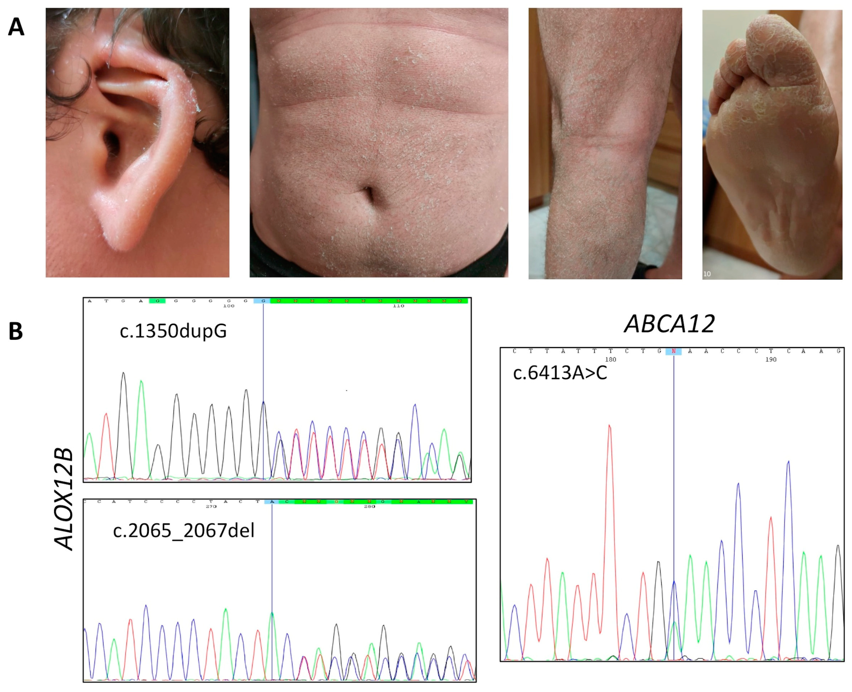 Diagnostics 10 00995 g001