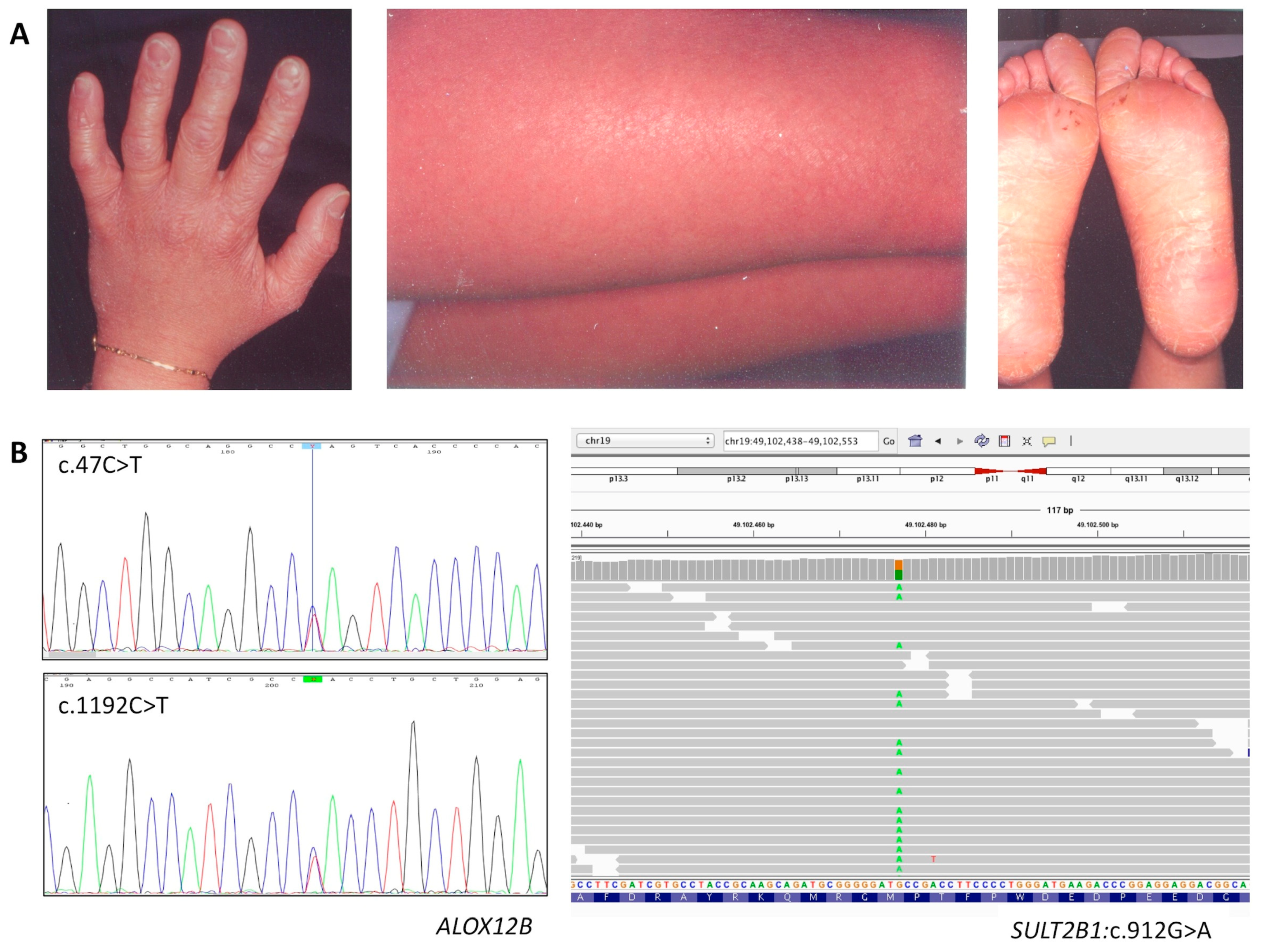 Diagnostics 10 00995 g002
