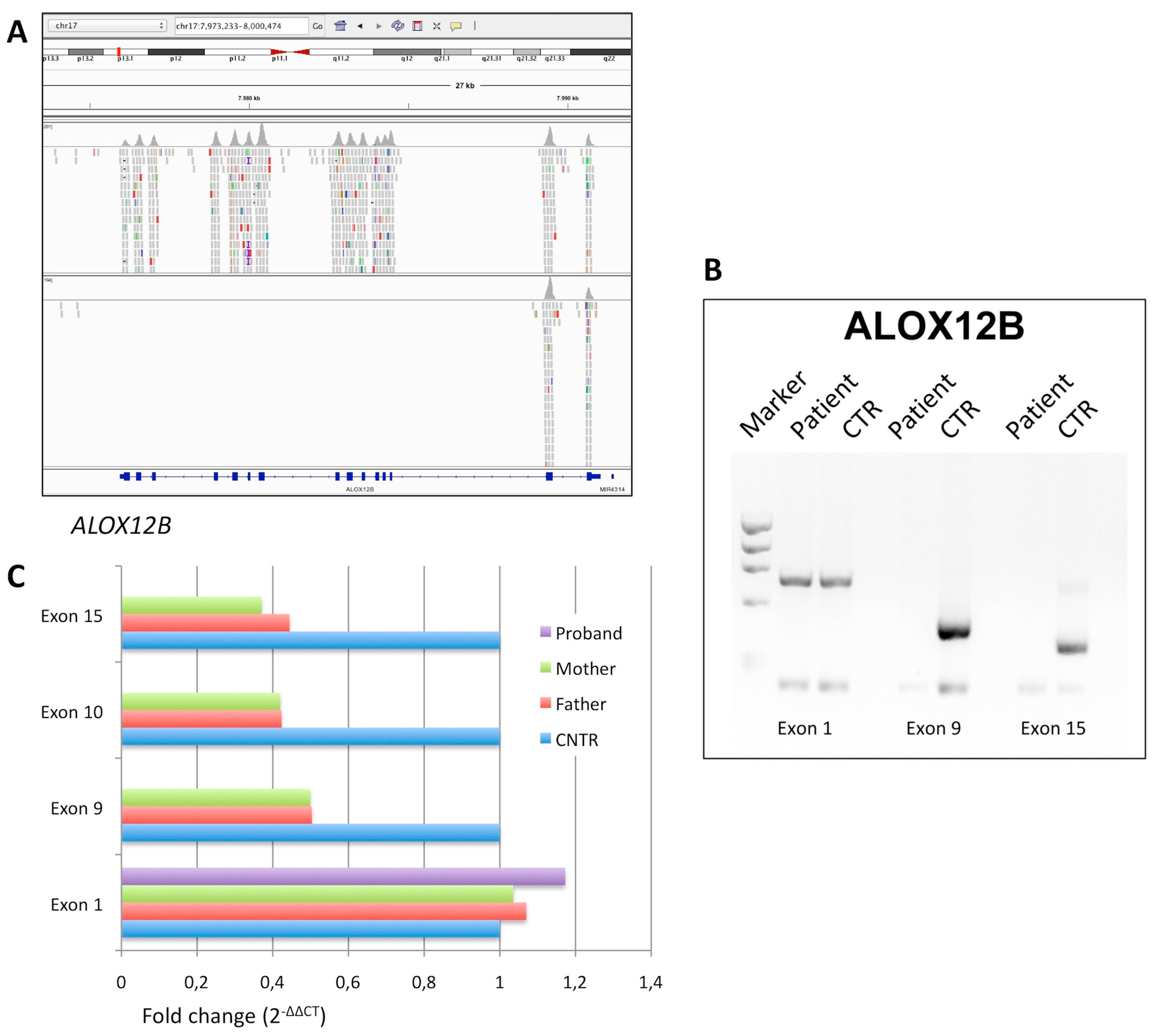 Diagnostics 10 00995 g003