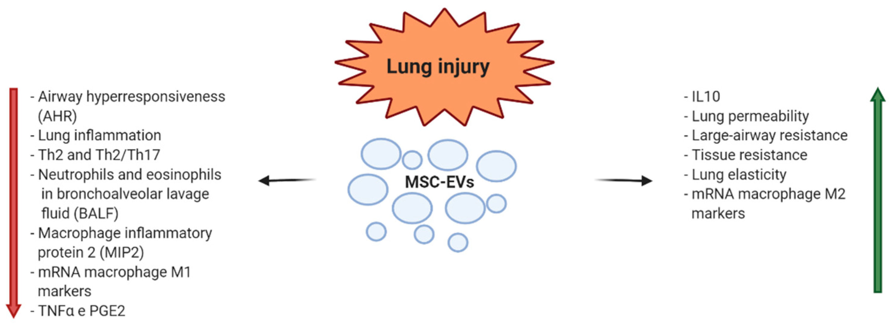 Diagnostics 10 00999 g003