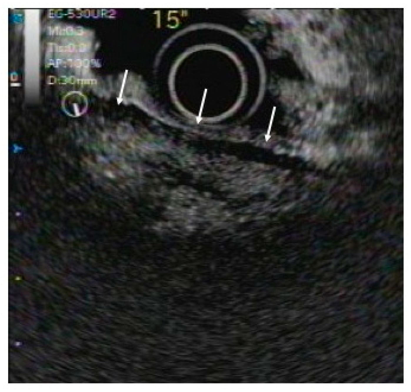 Diagnostics 10 01005 g003