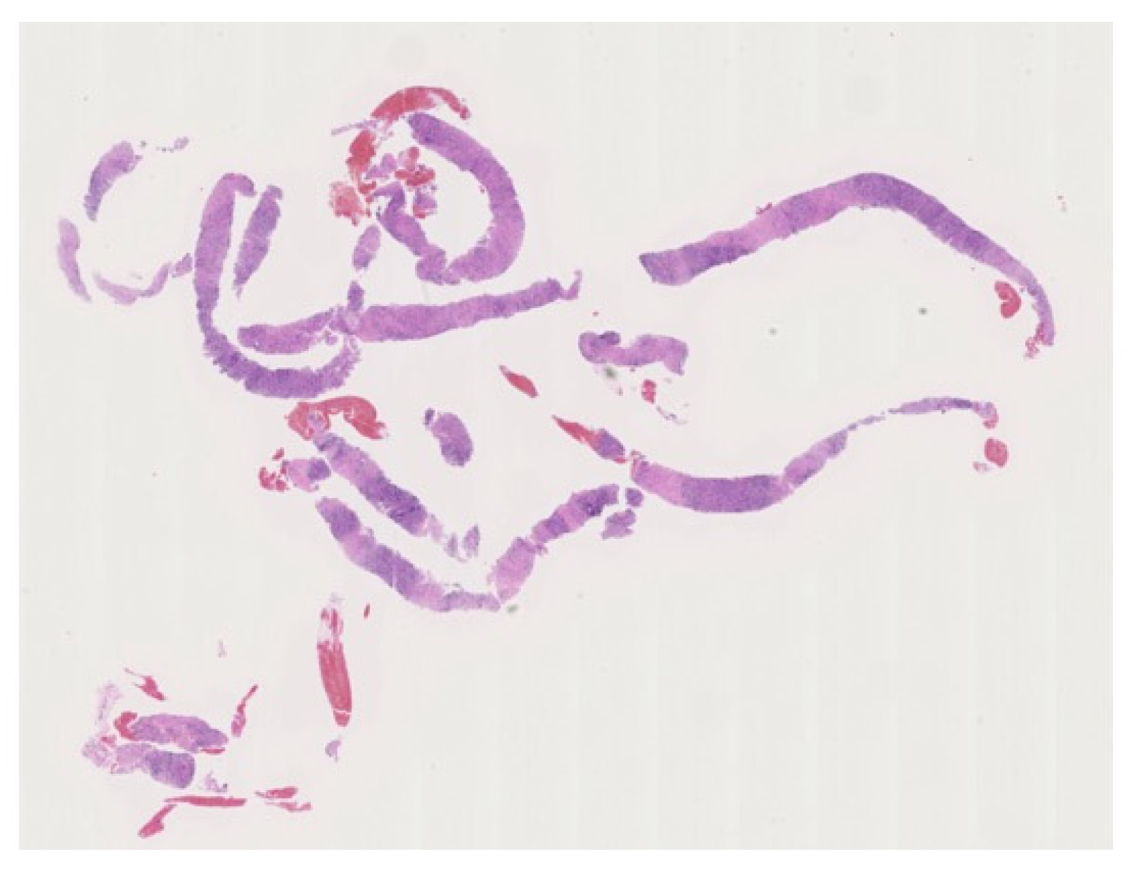 Diagnostics 10 01005 g004