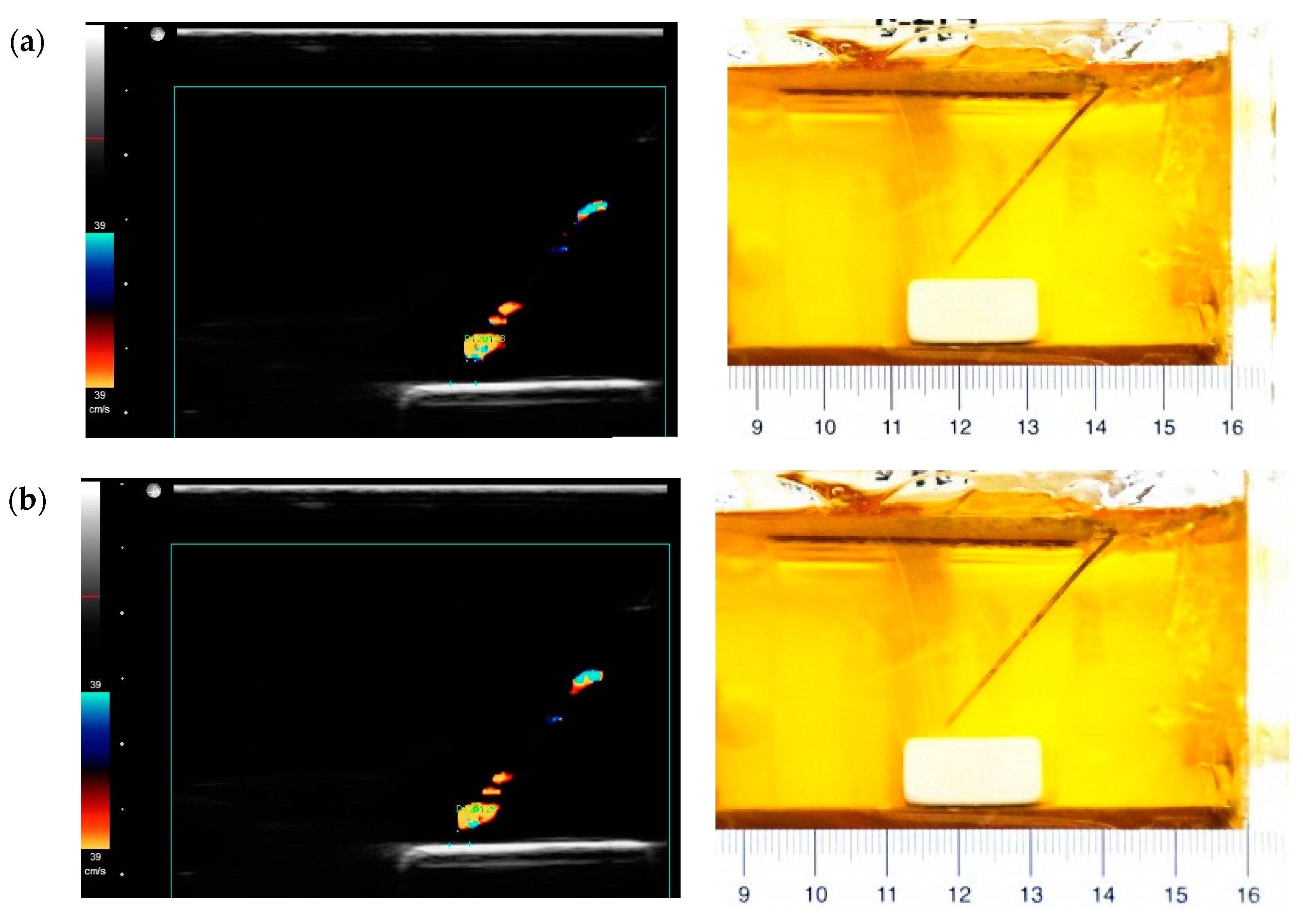 Diagnostics 10 01020 g008a Diagnostics 10 01020 g008a