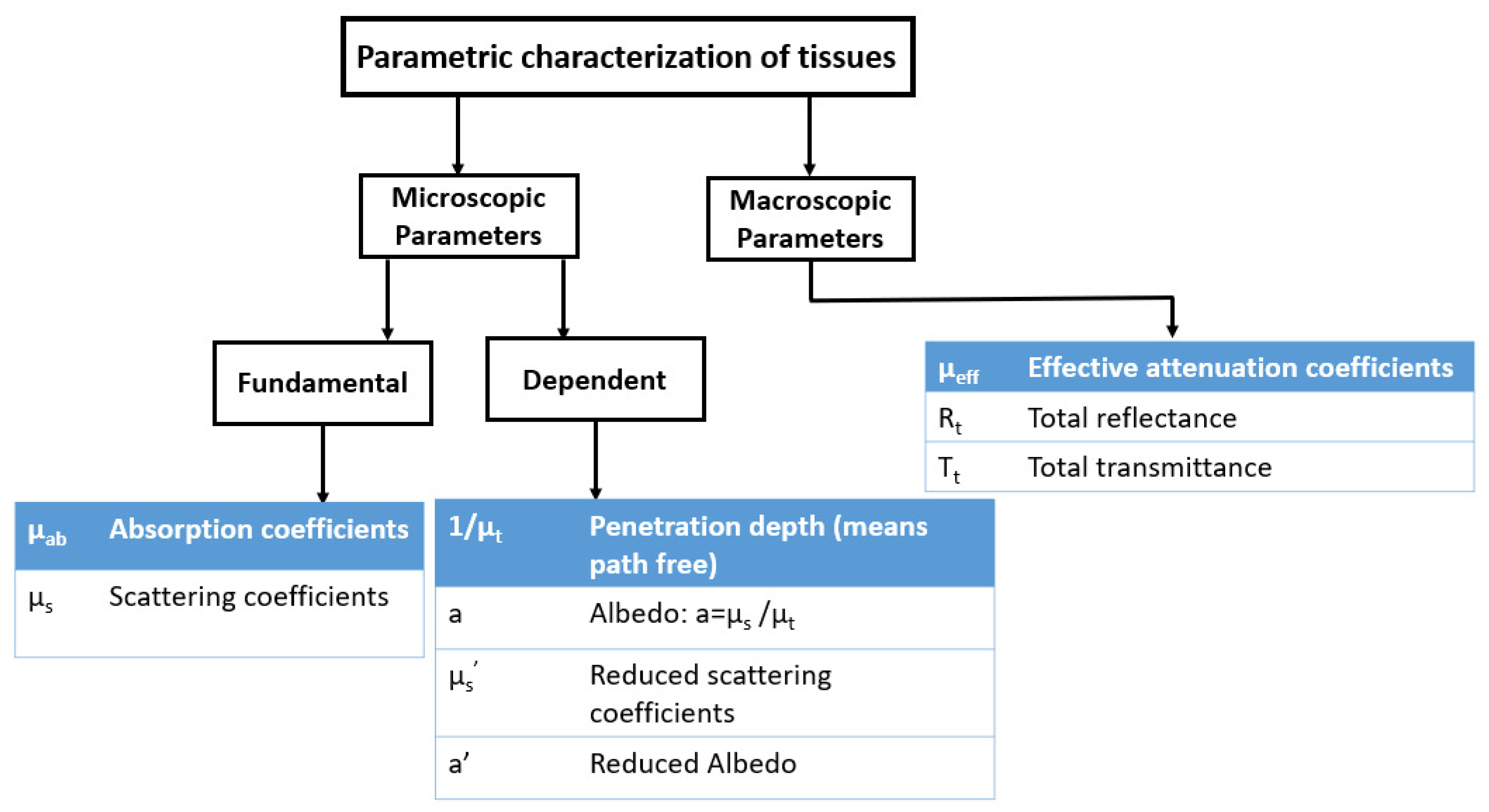 Diagnostics 10 01026 g001 Diagnostics 10 01026 g001